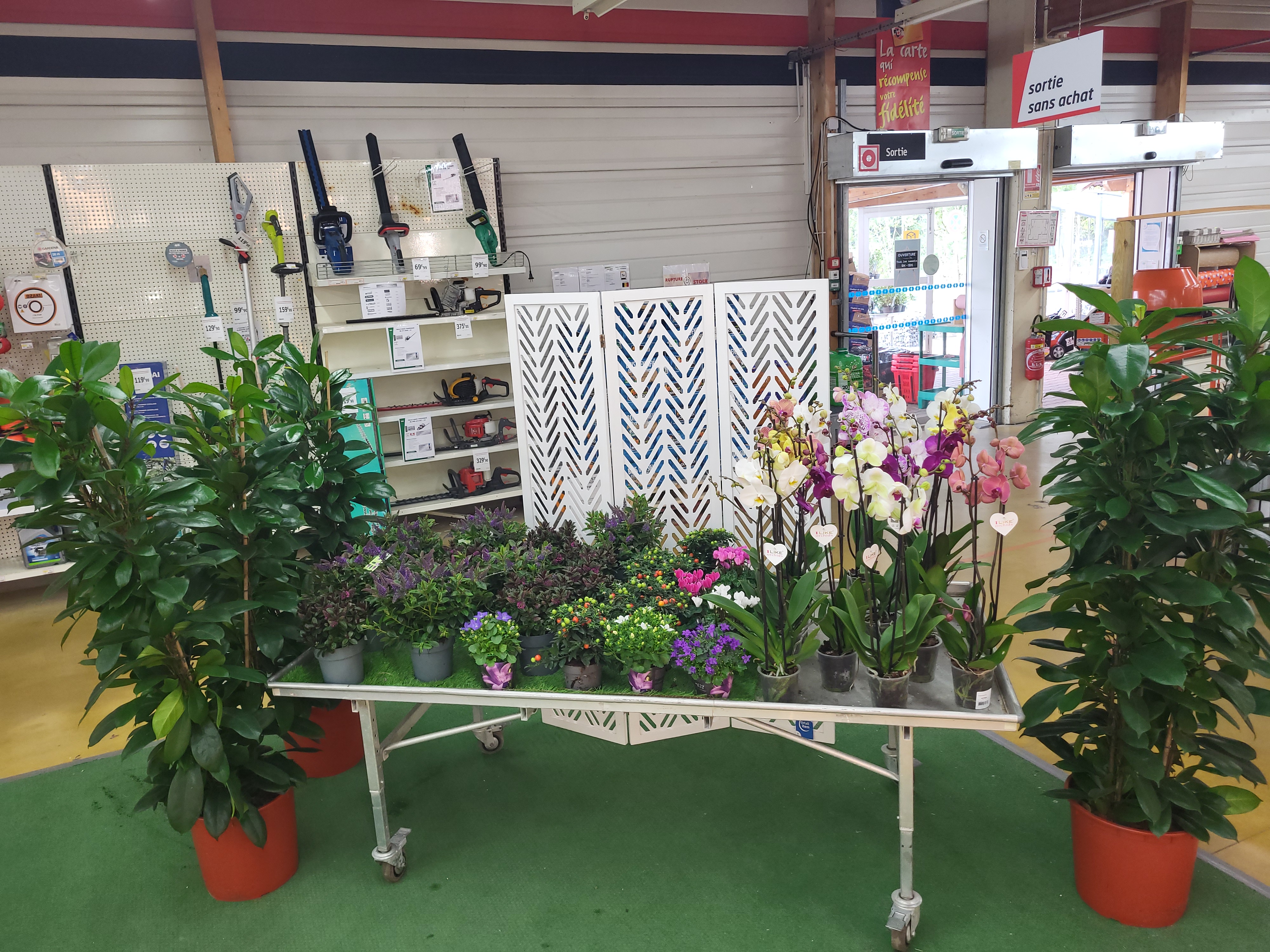 galerie image galerie image