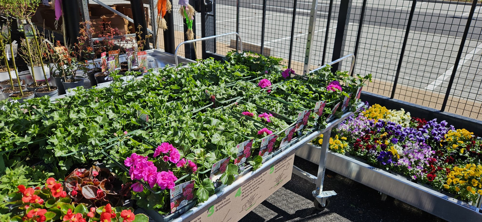 galerie image galerie image