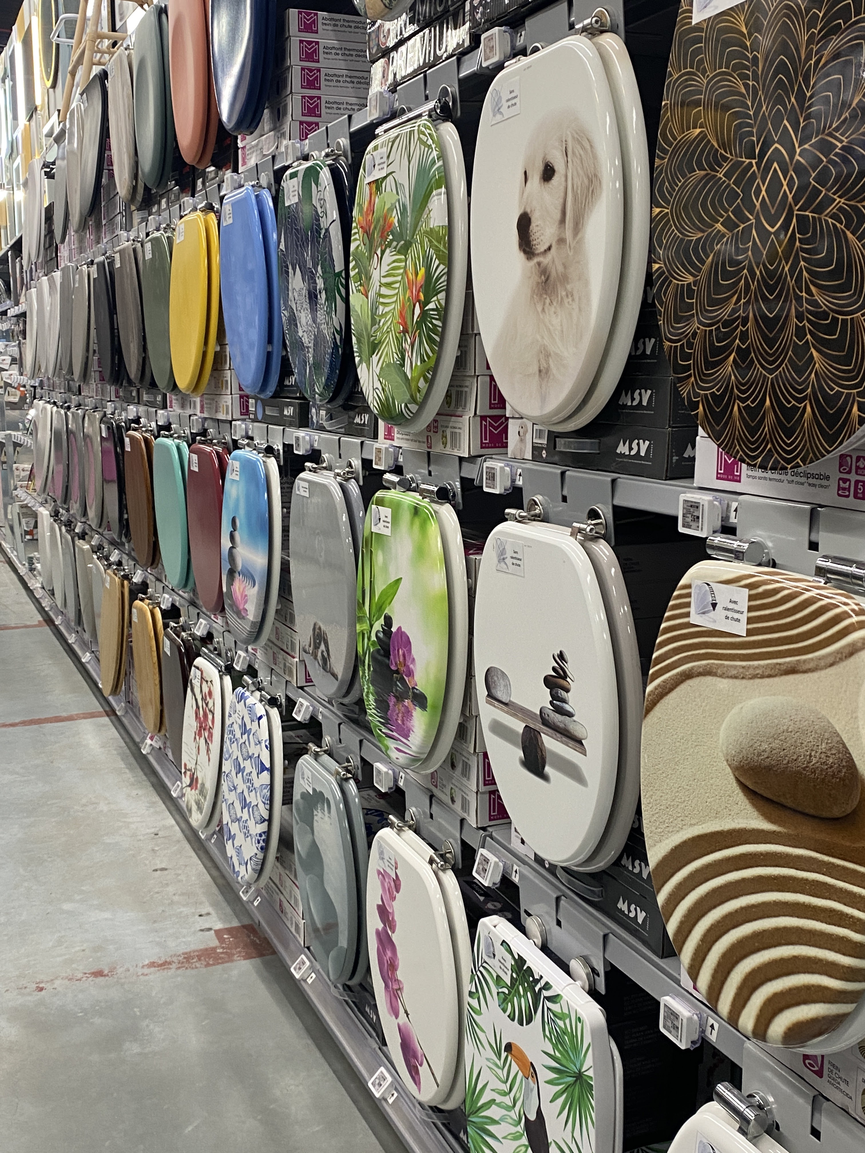 galerie image