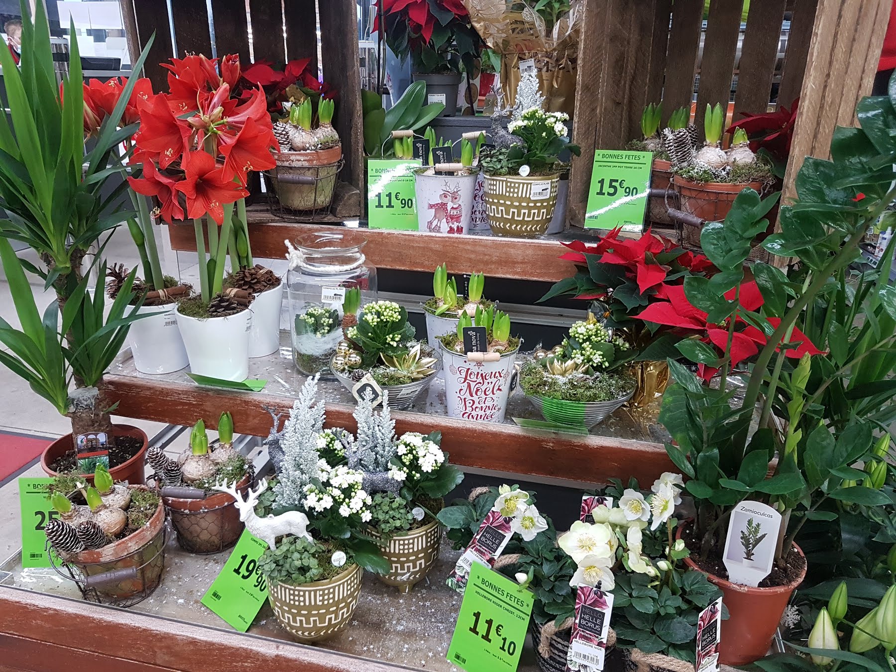 galerie image galerie image