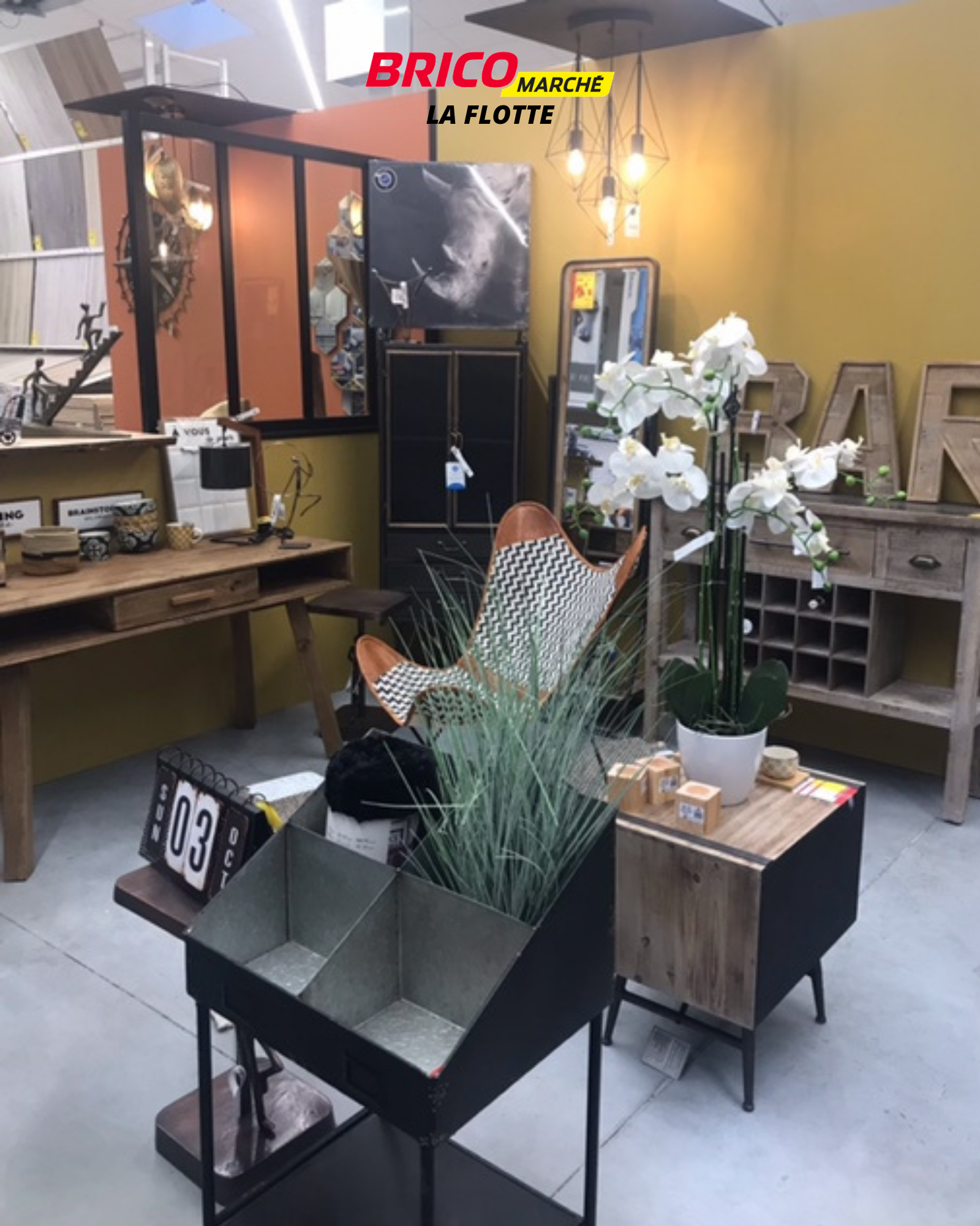 galerie image