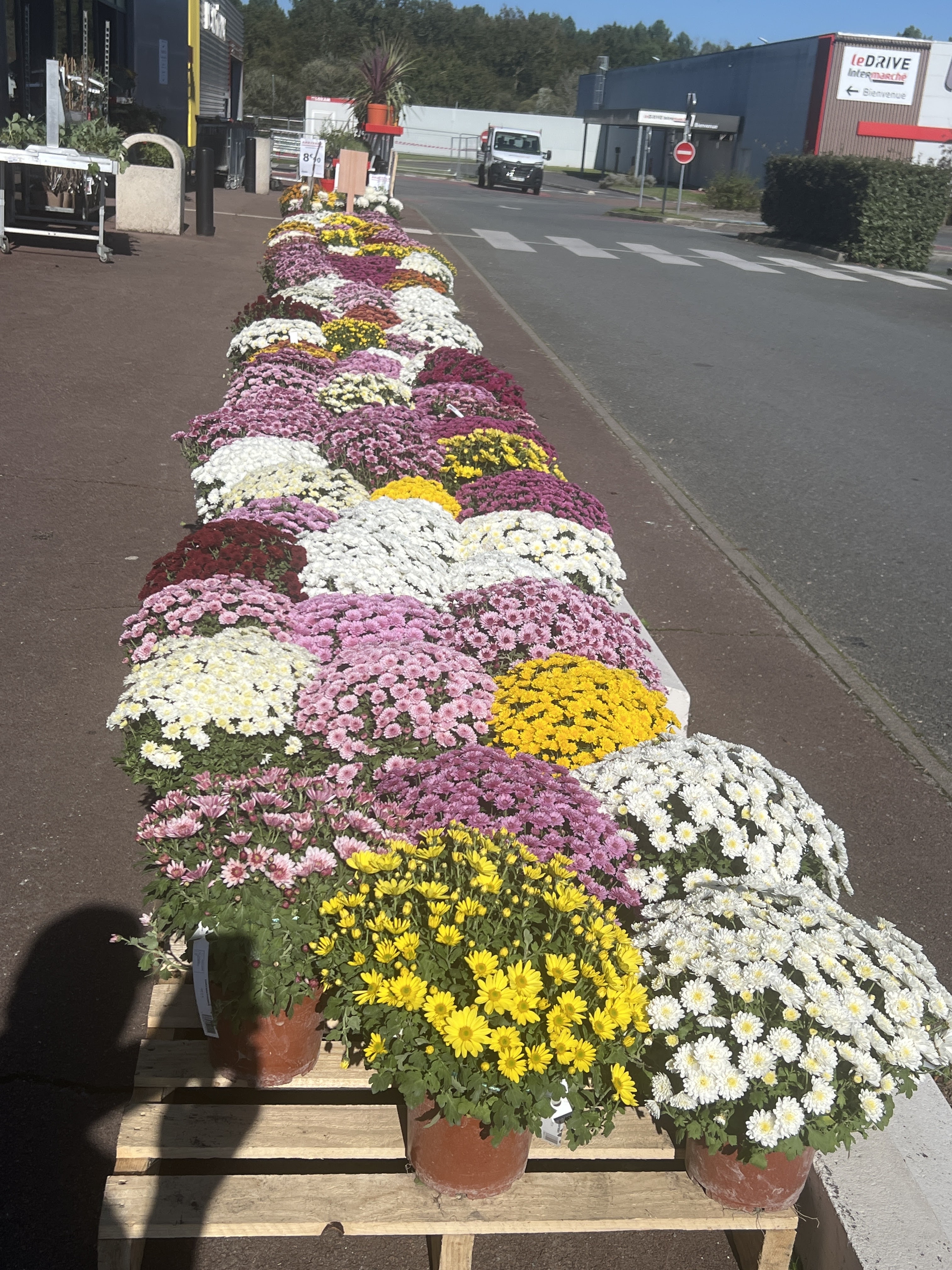 galerie image galerie image