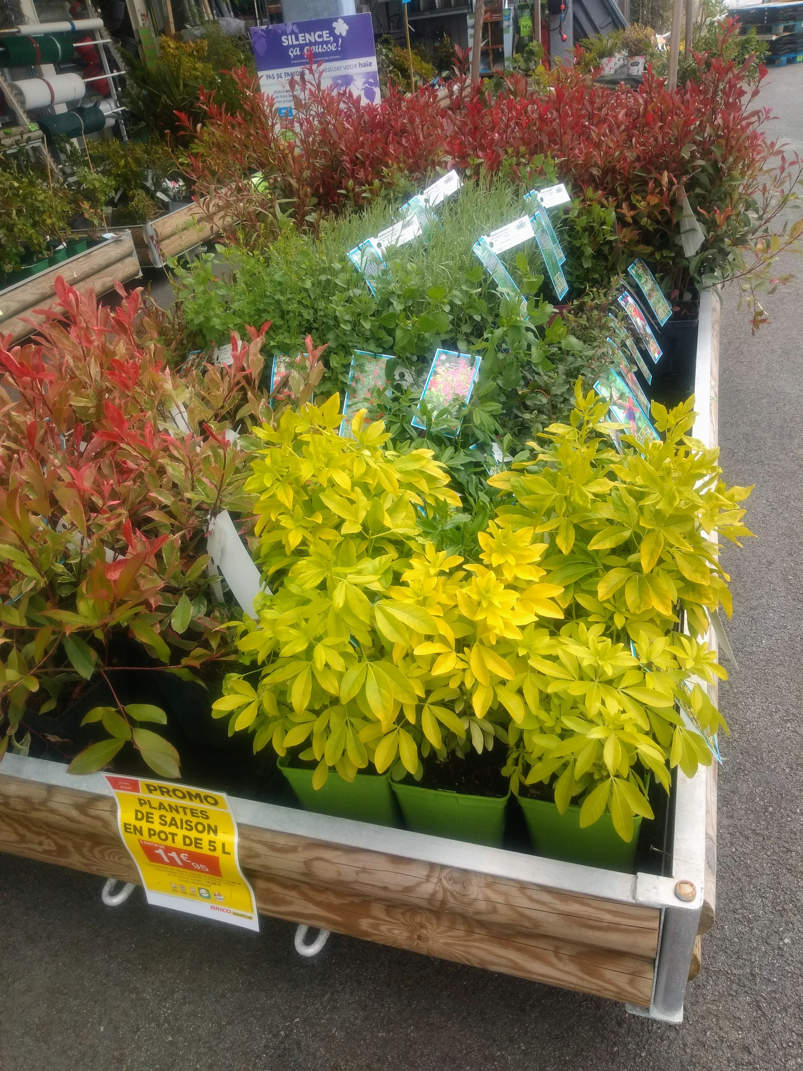 galerie image galerie image