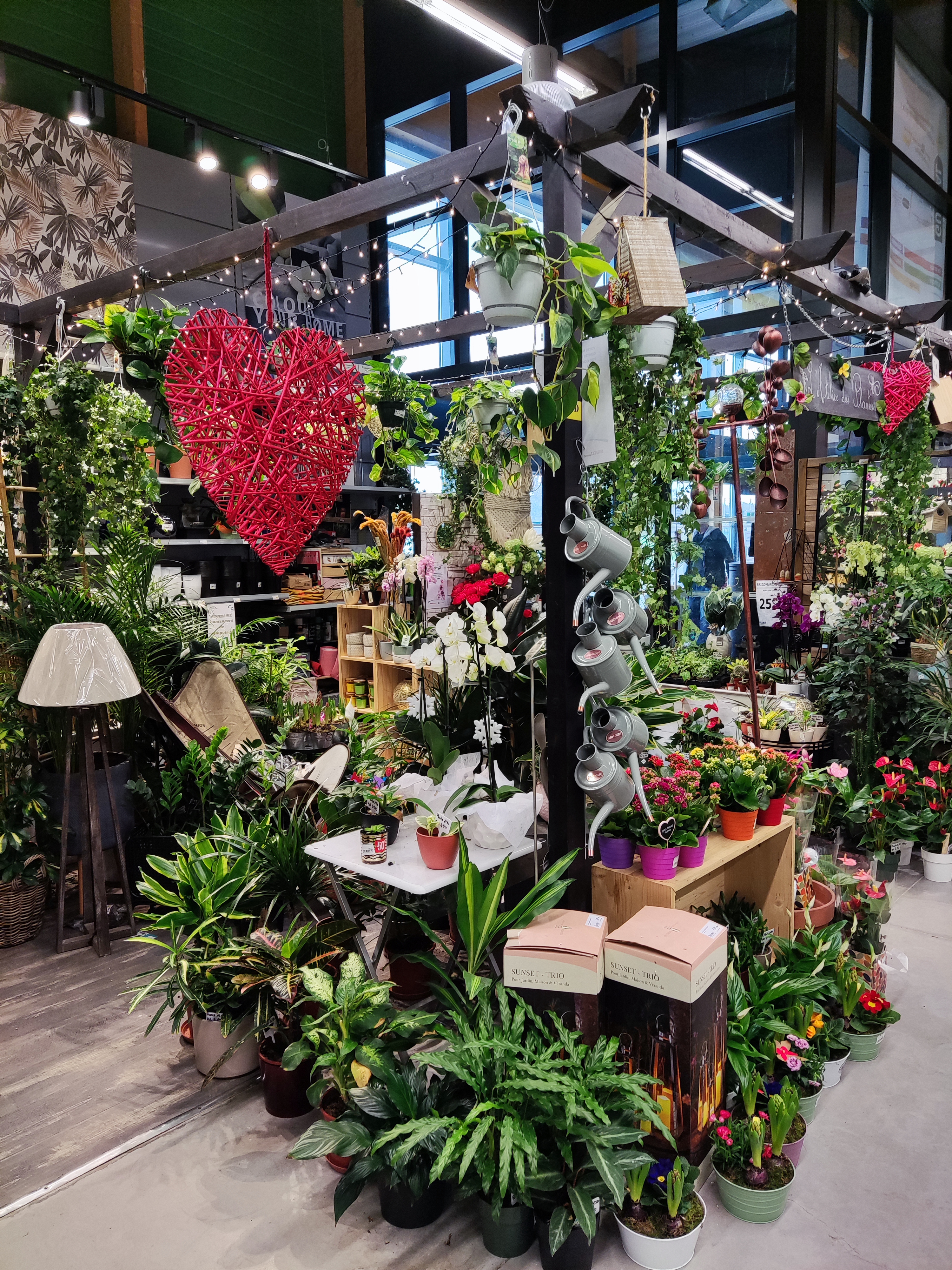 galerie image galerie image