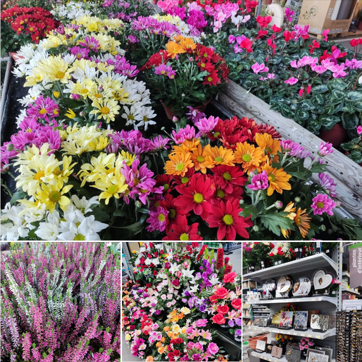 galerie image galerie image