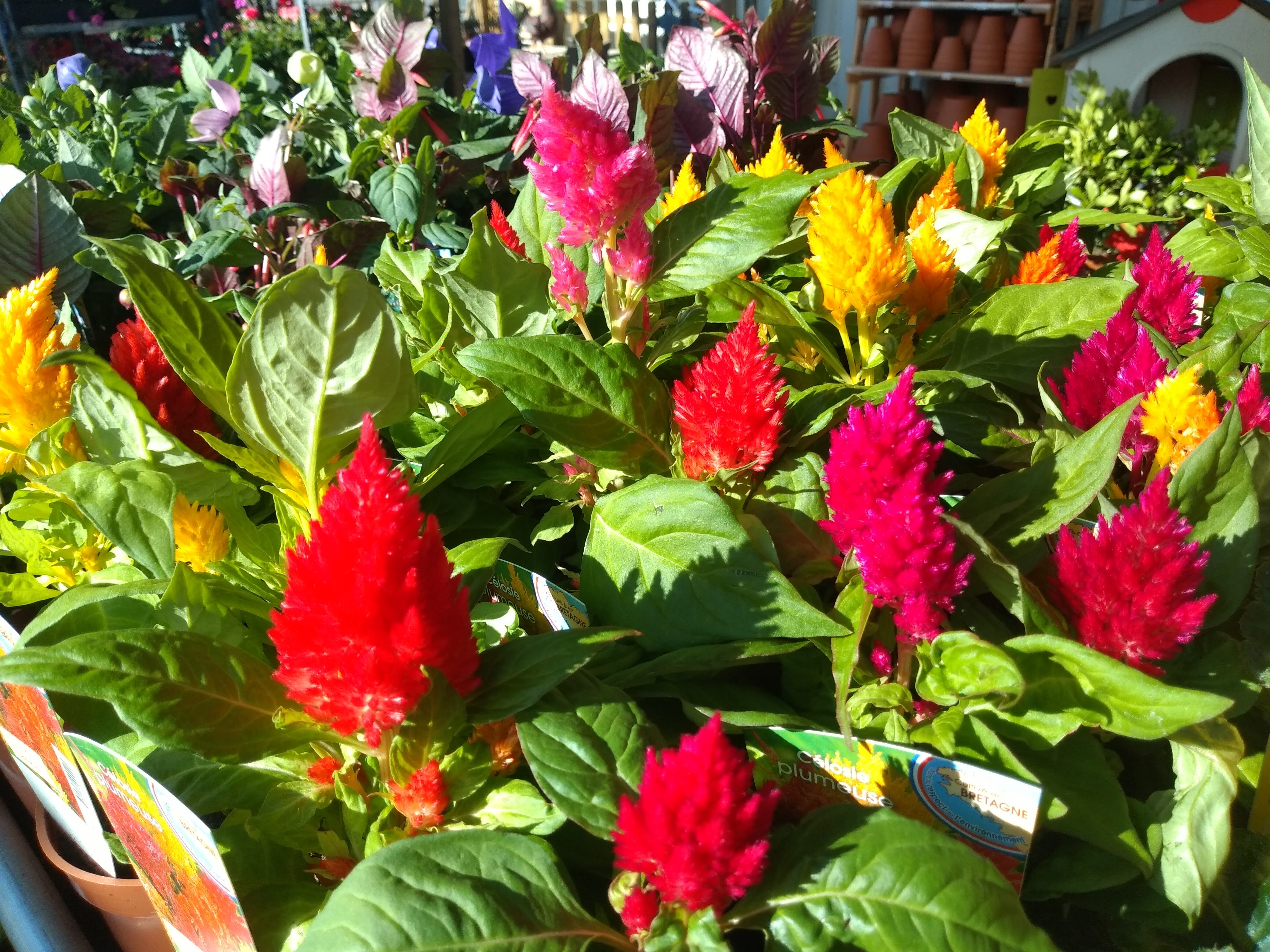 galerie image galerie image