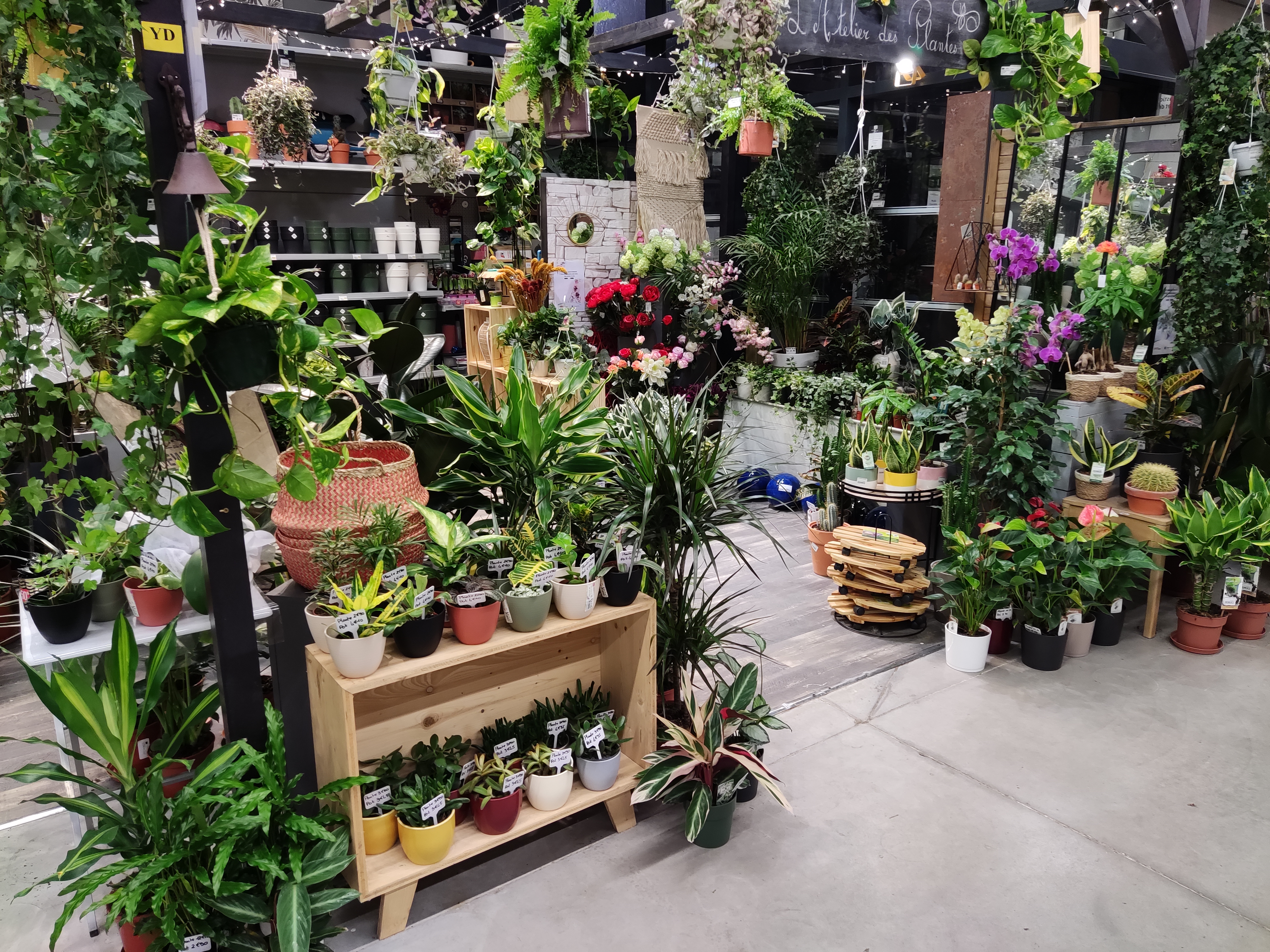 galerie image galerie image