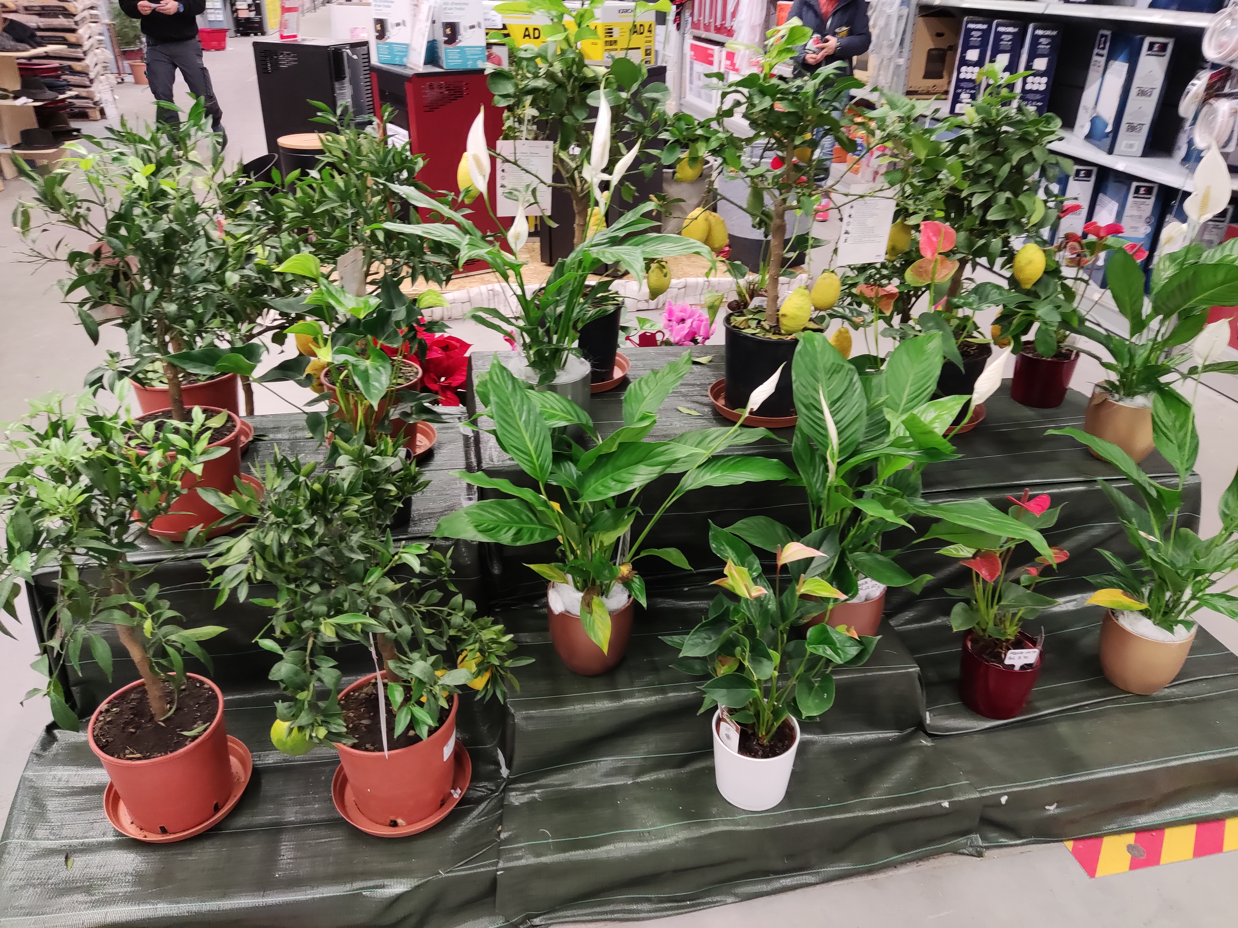 galerie image galerie image