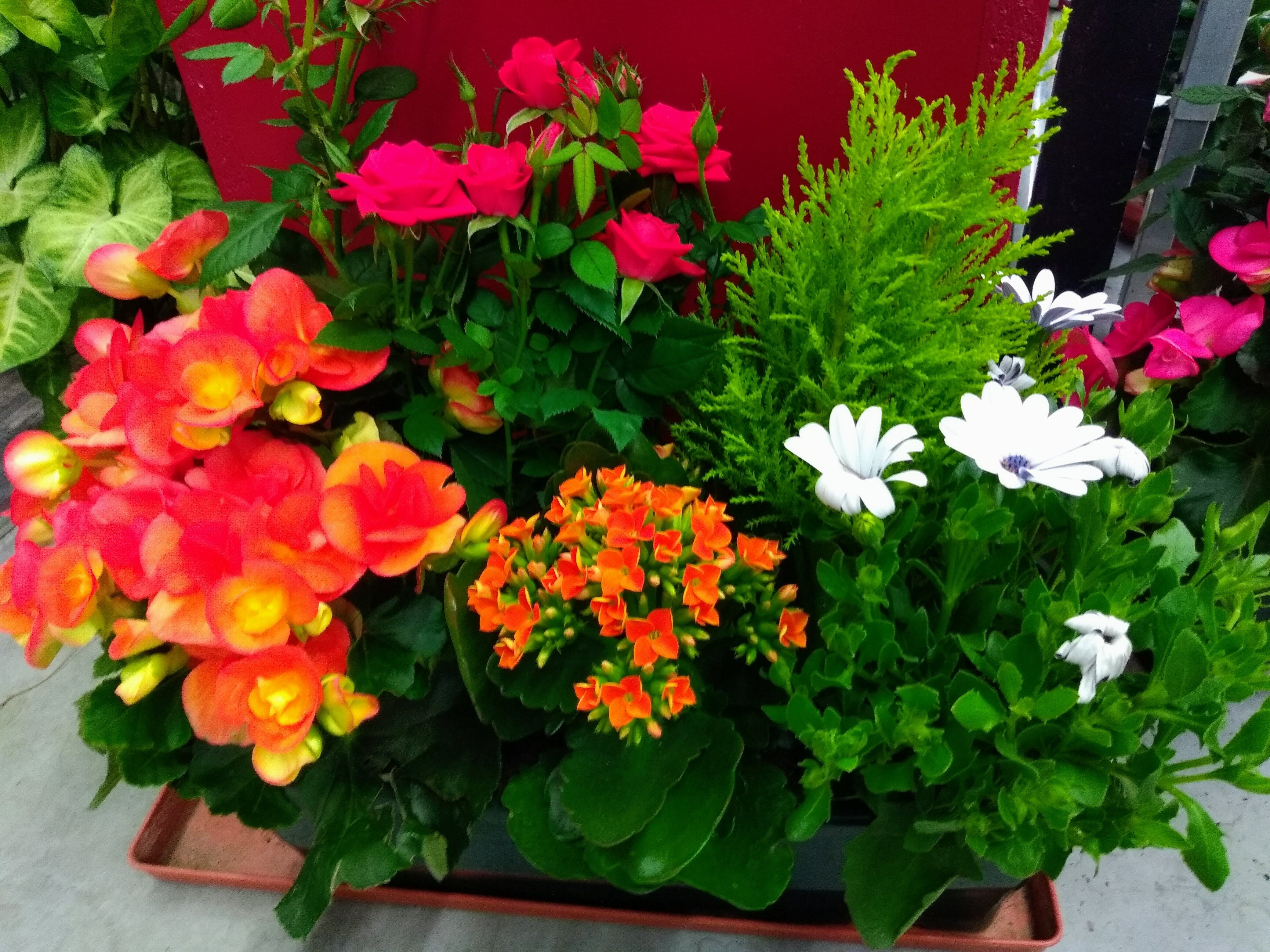 galerie image galerie image