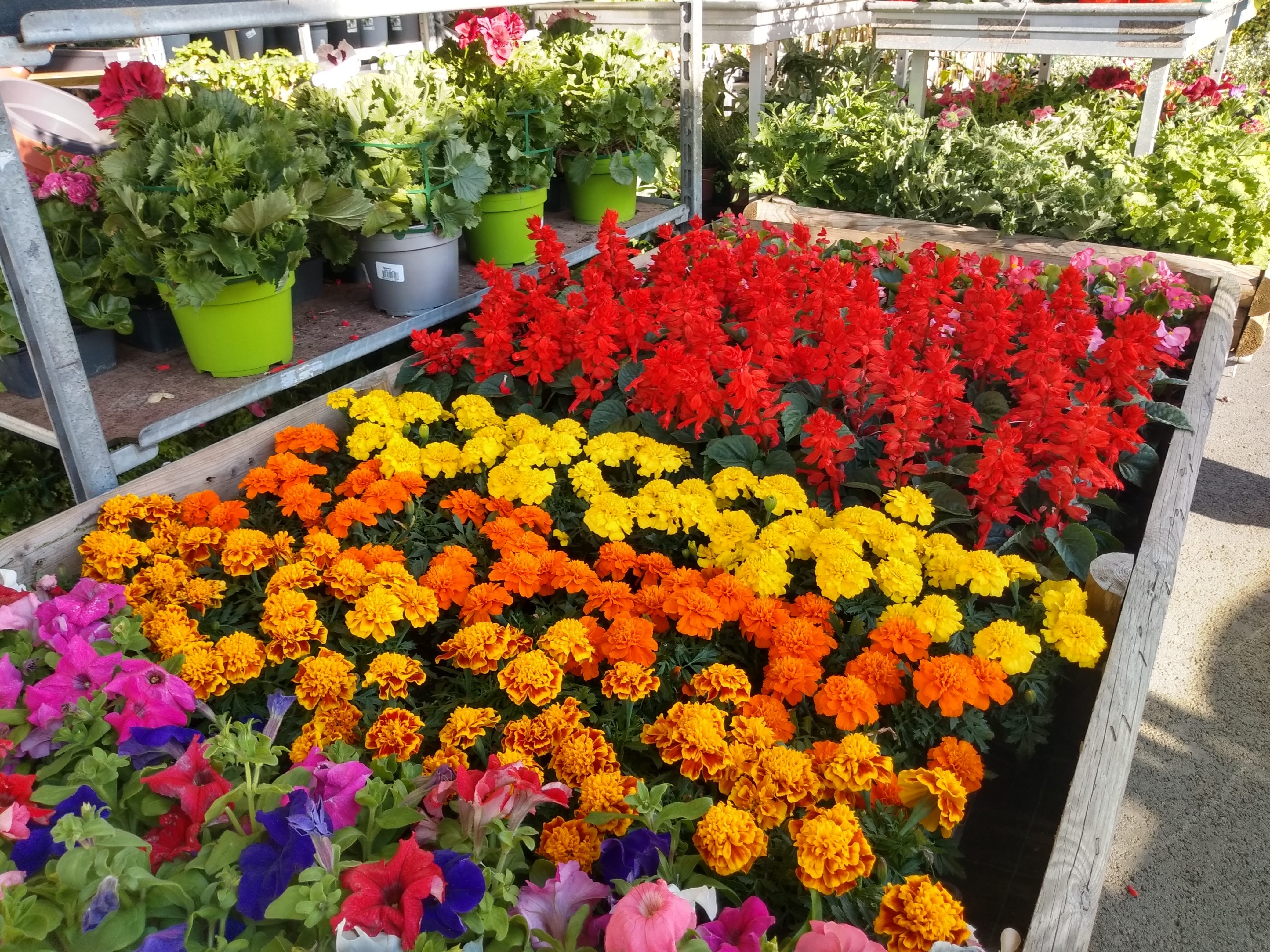 galerie image galerie image