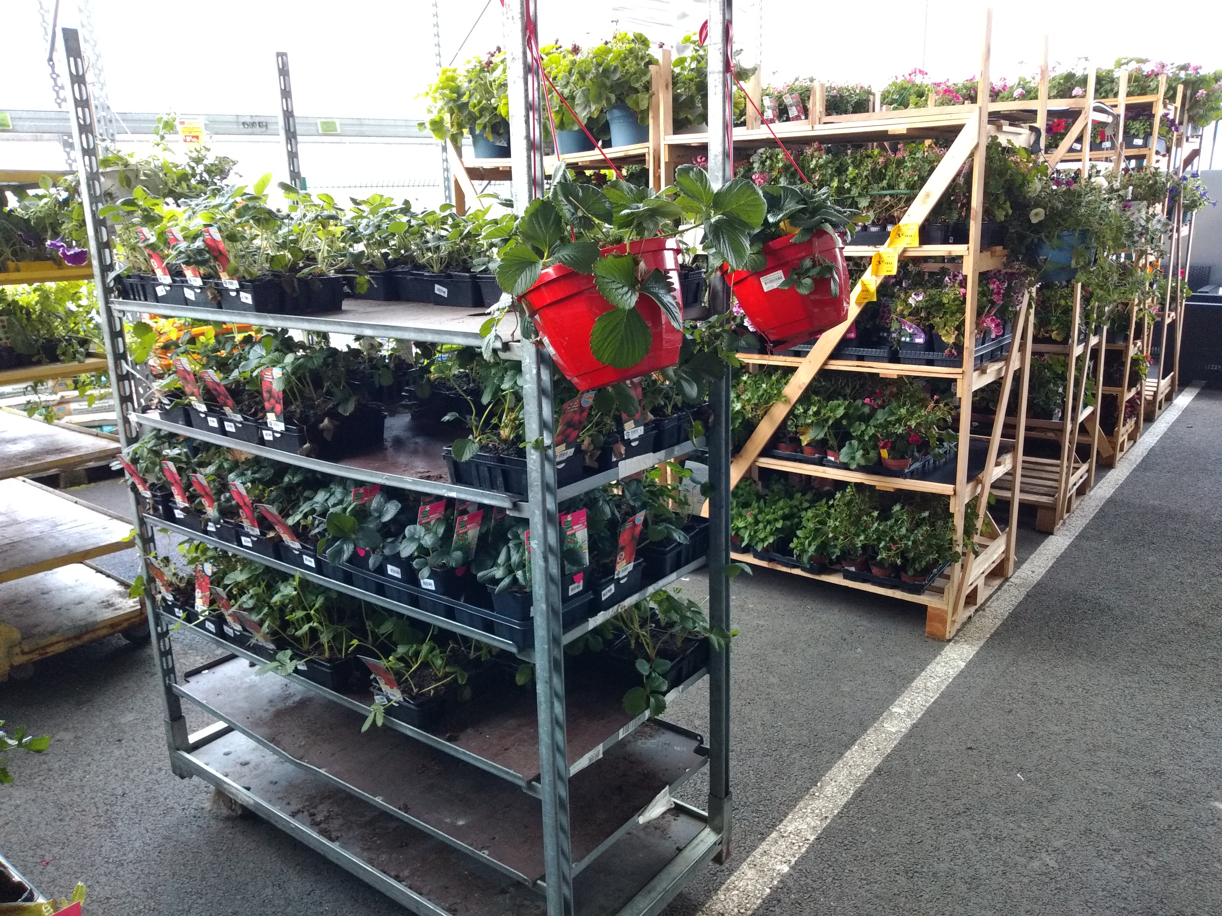 galerie image galerie image