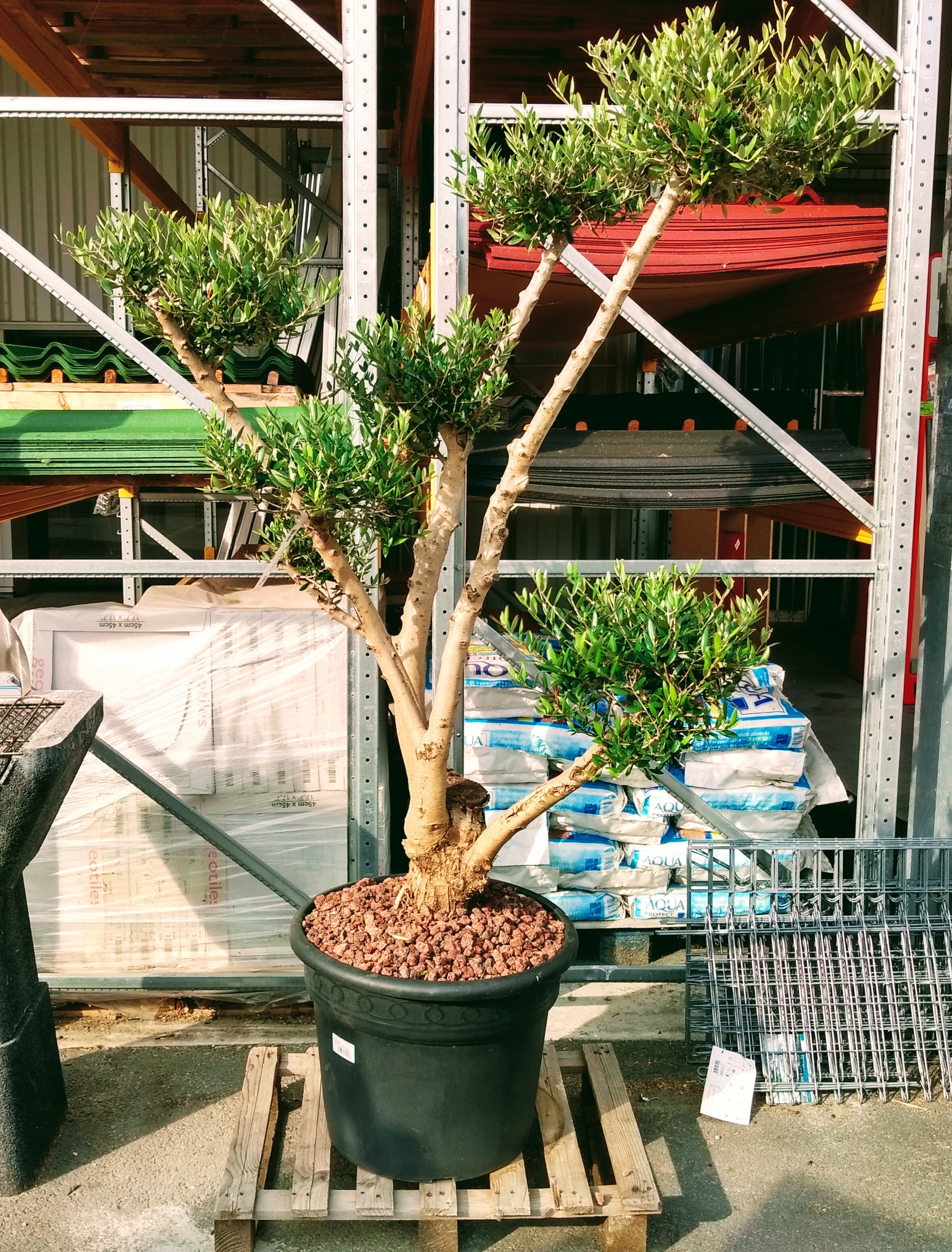 galerie image galerie image