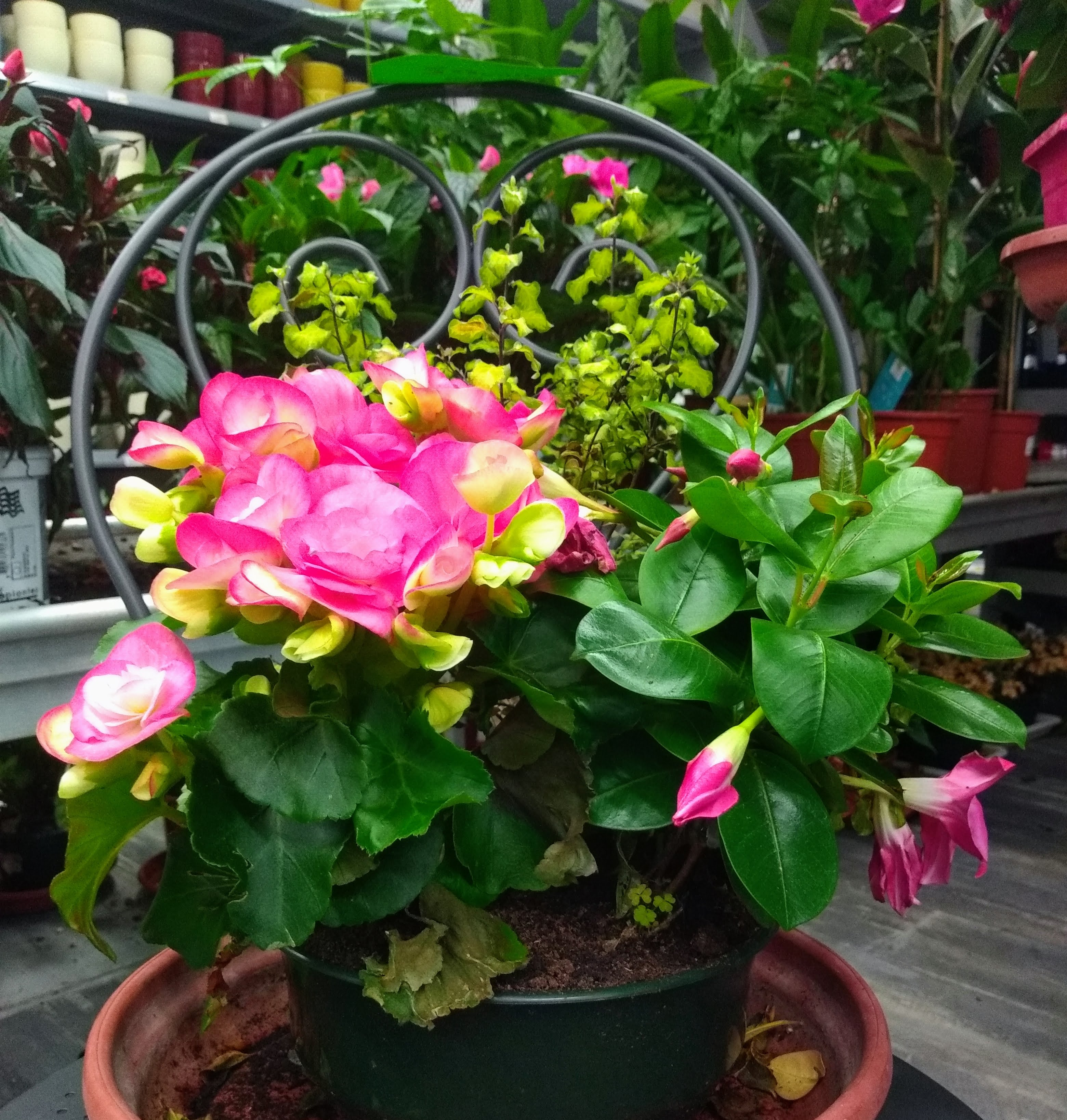 galerie image galerie image