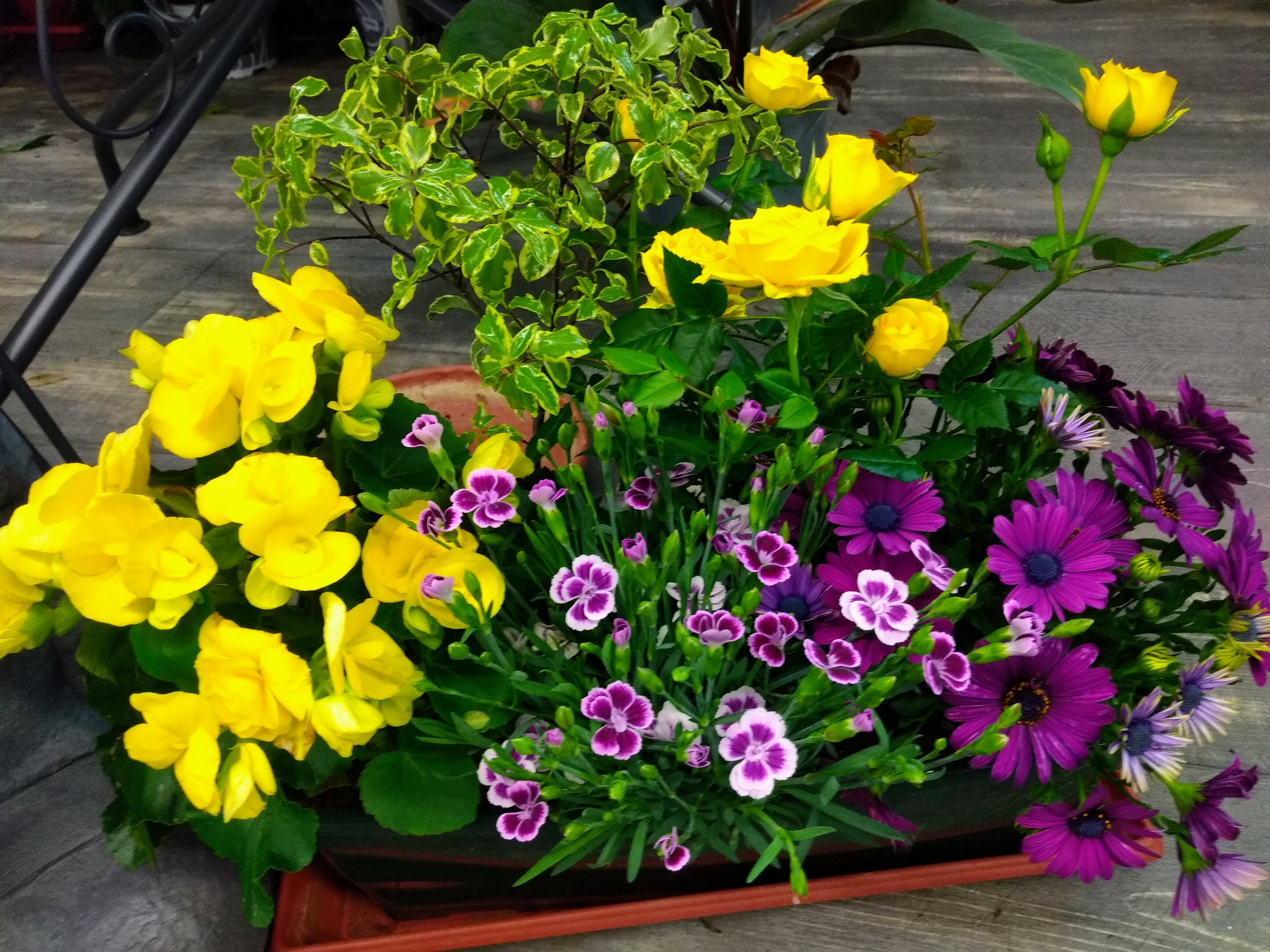 galerie image galerie image