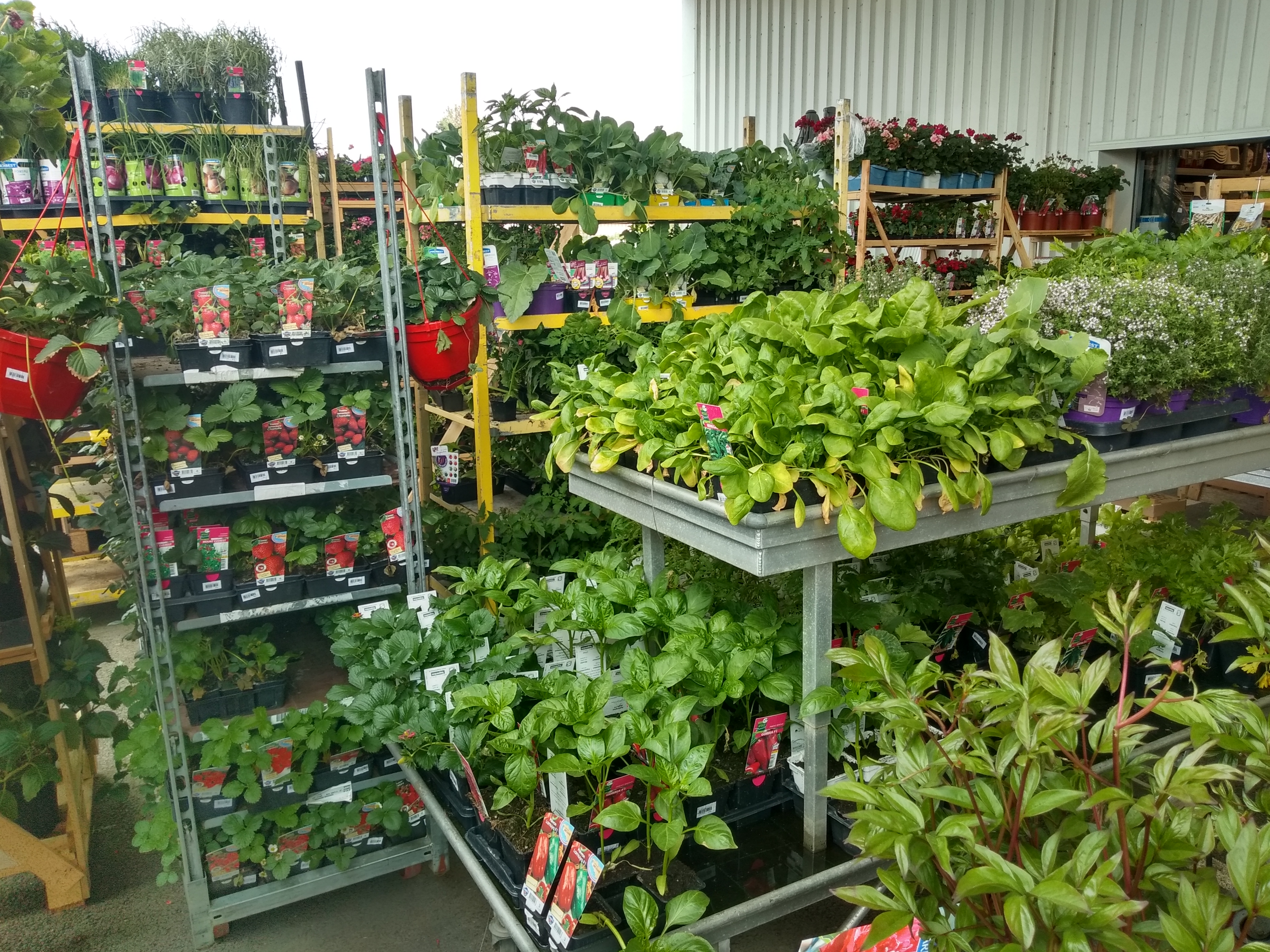 galerie image galerie image