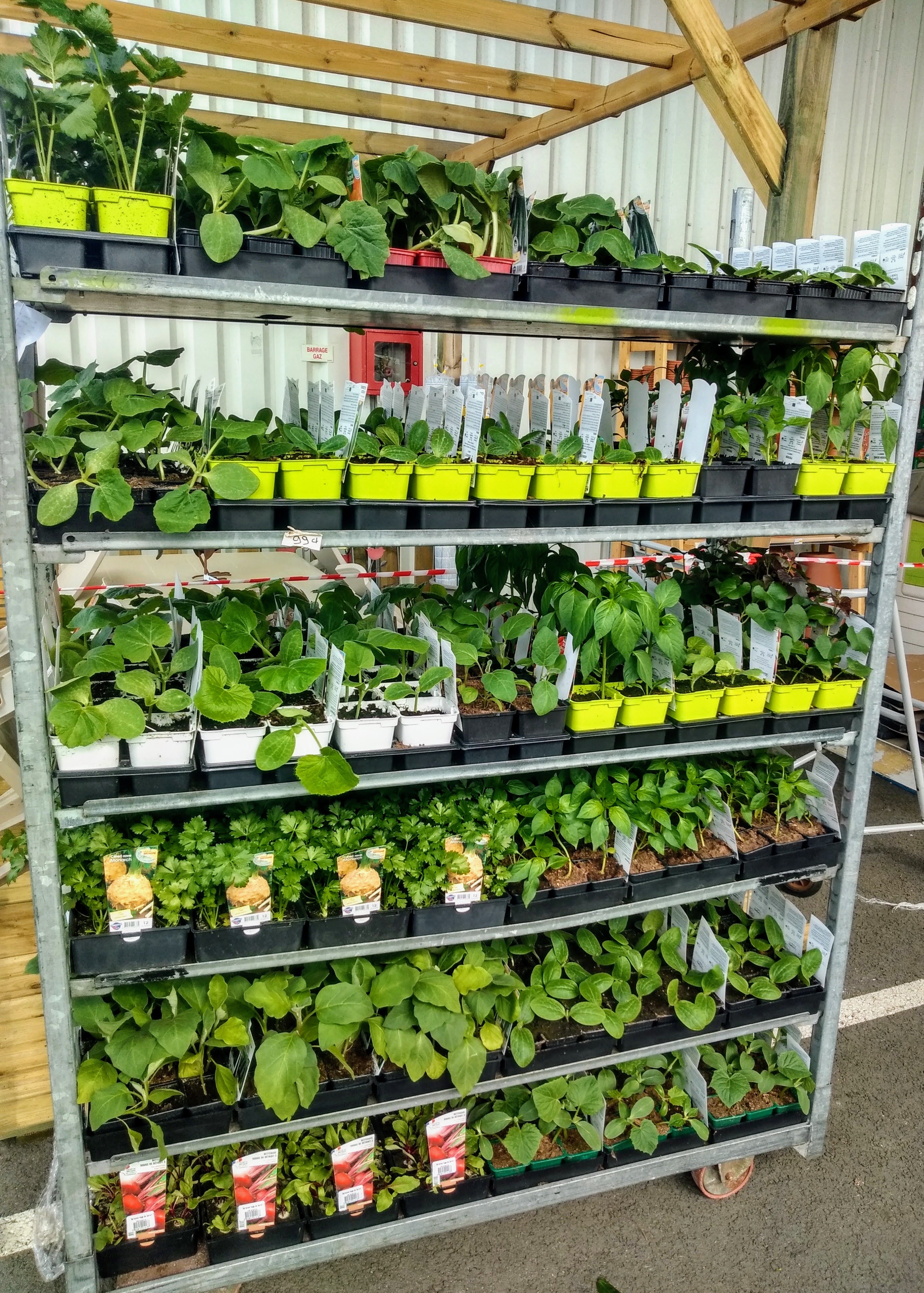 galerie image galerie image