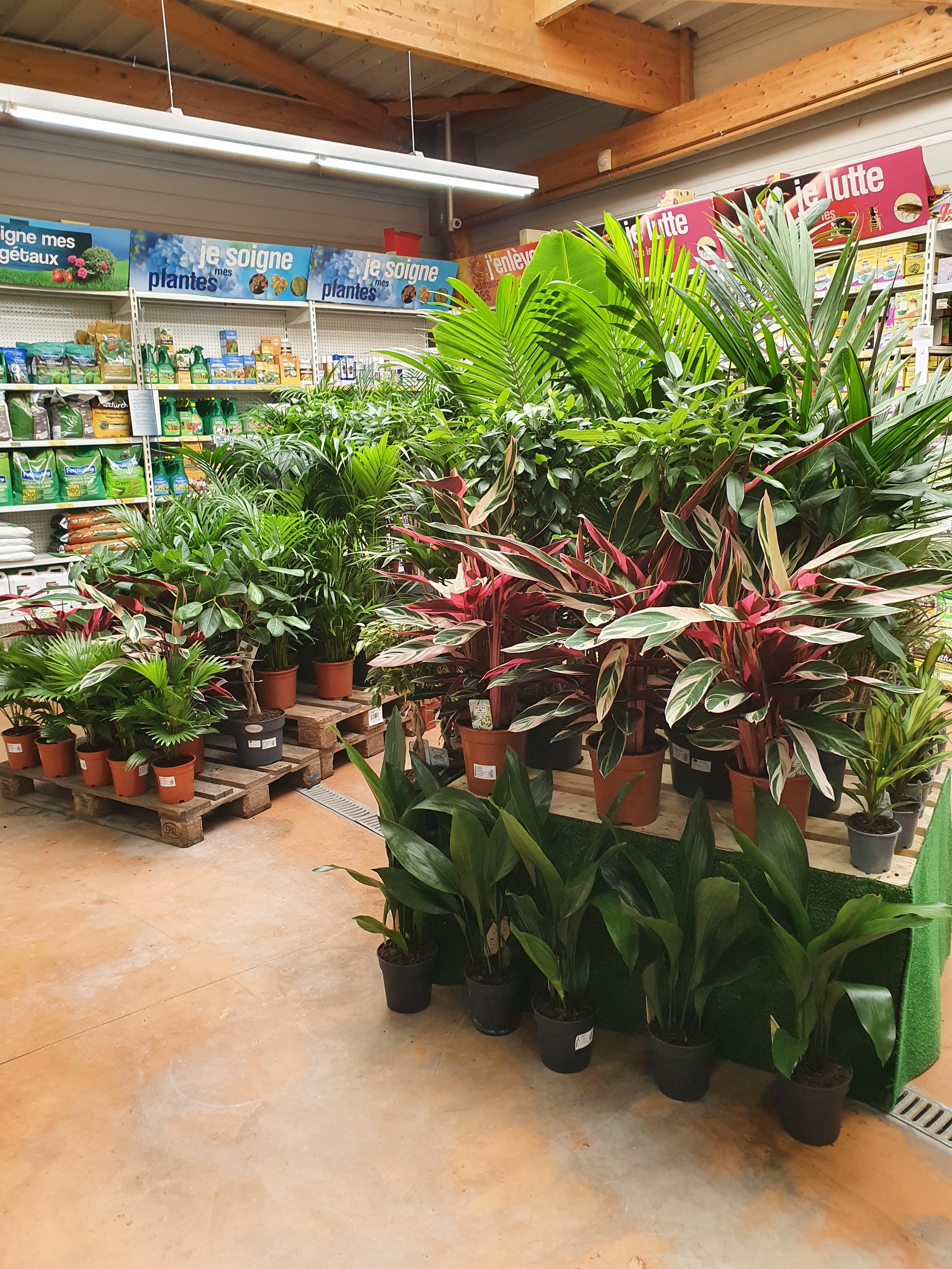 galerie image galerie image