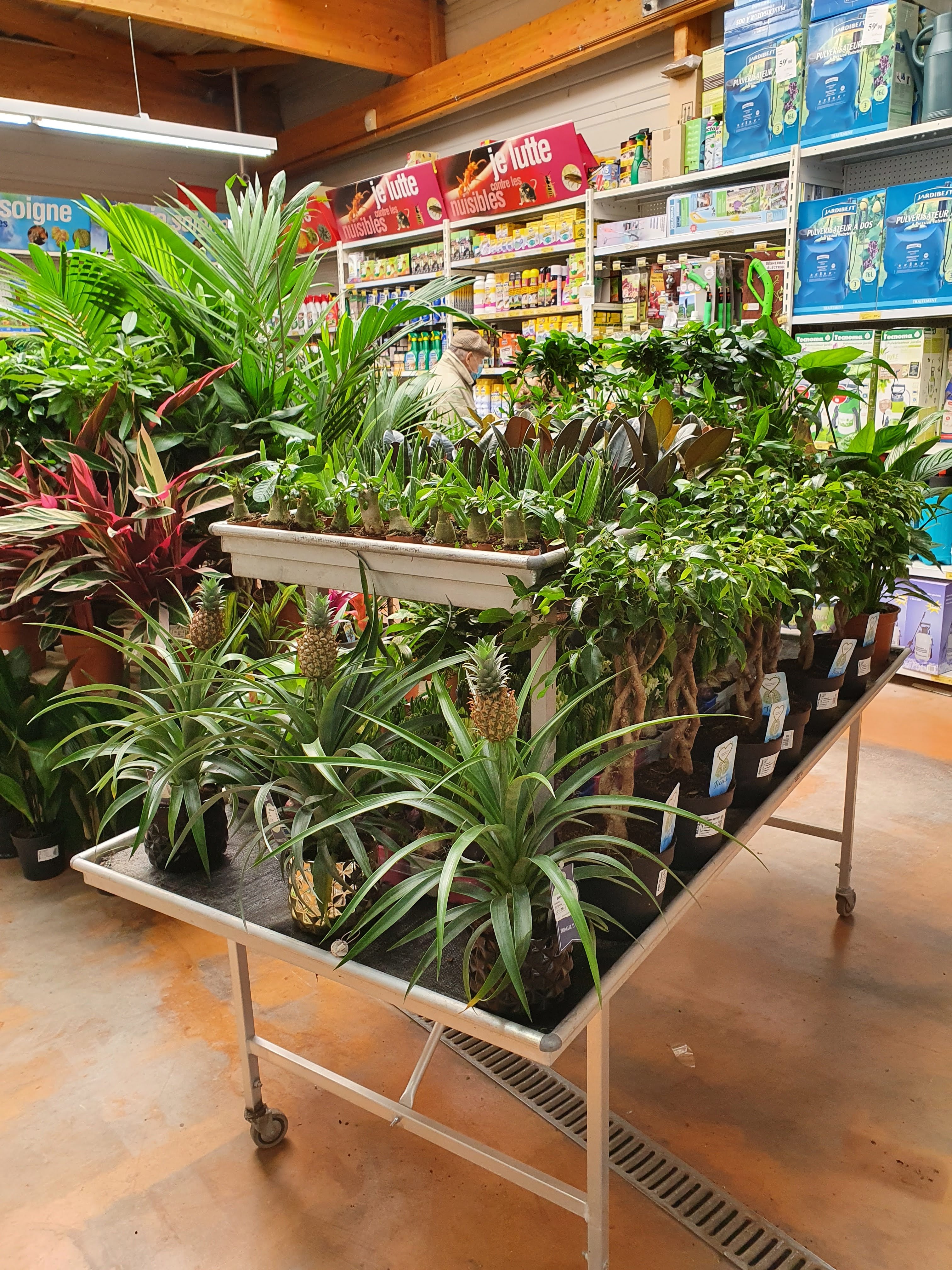 galerie image galerie image