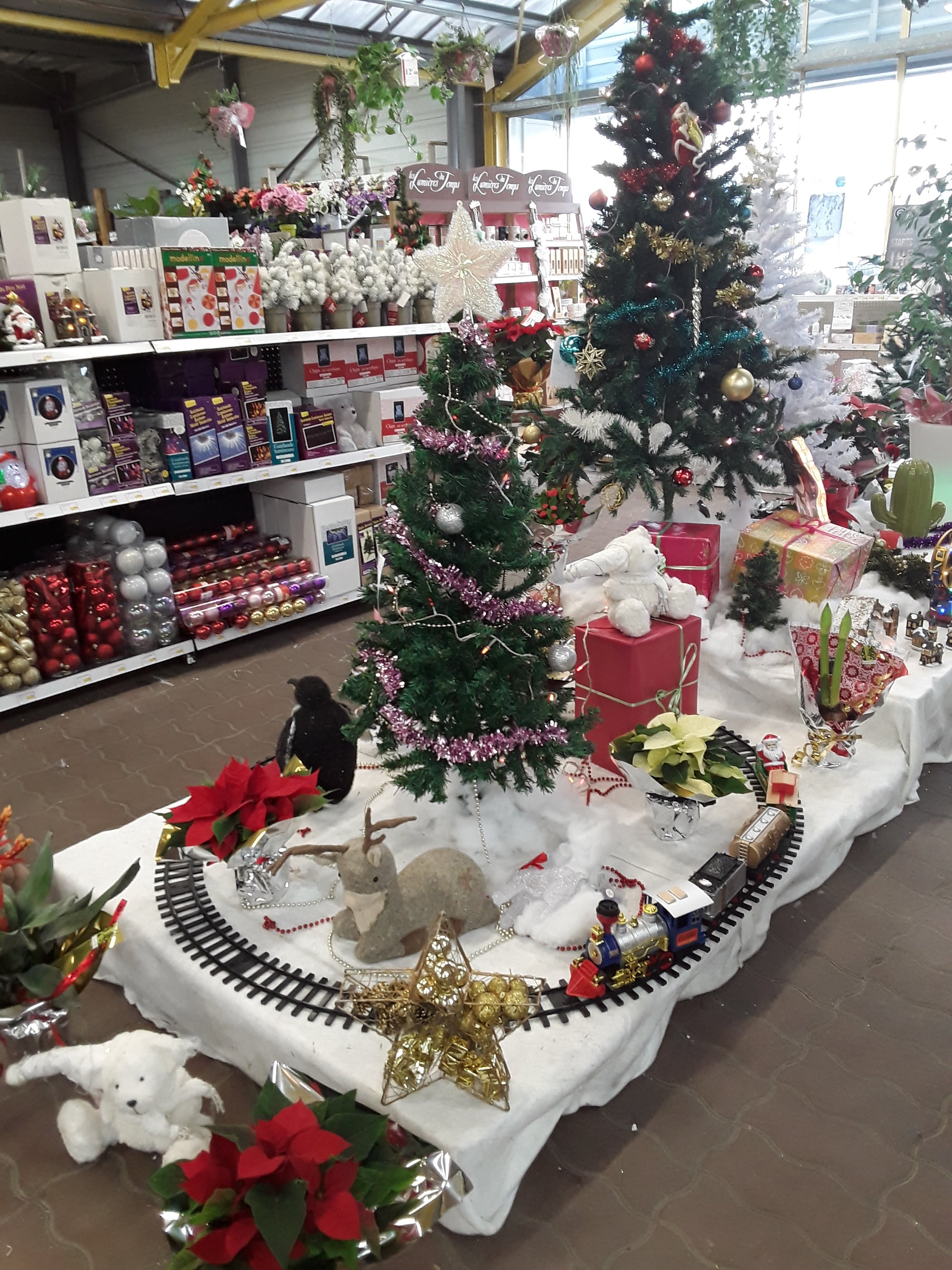 Miniature de la galerie