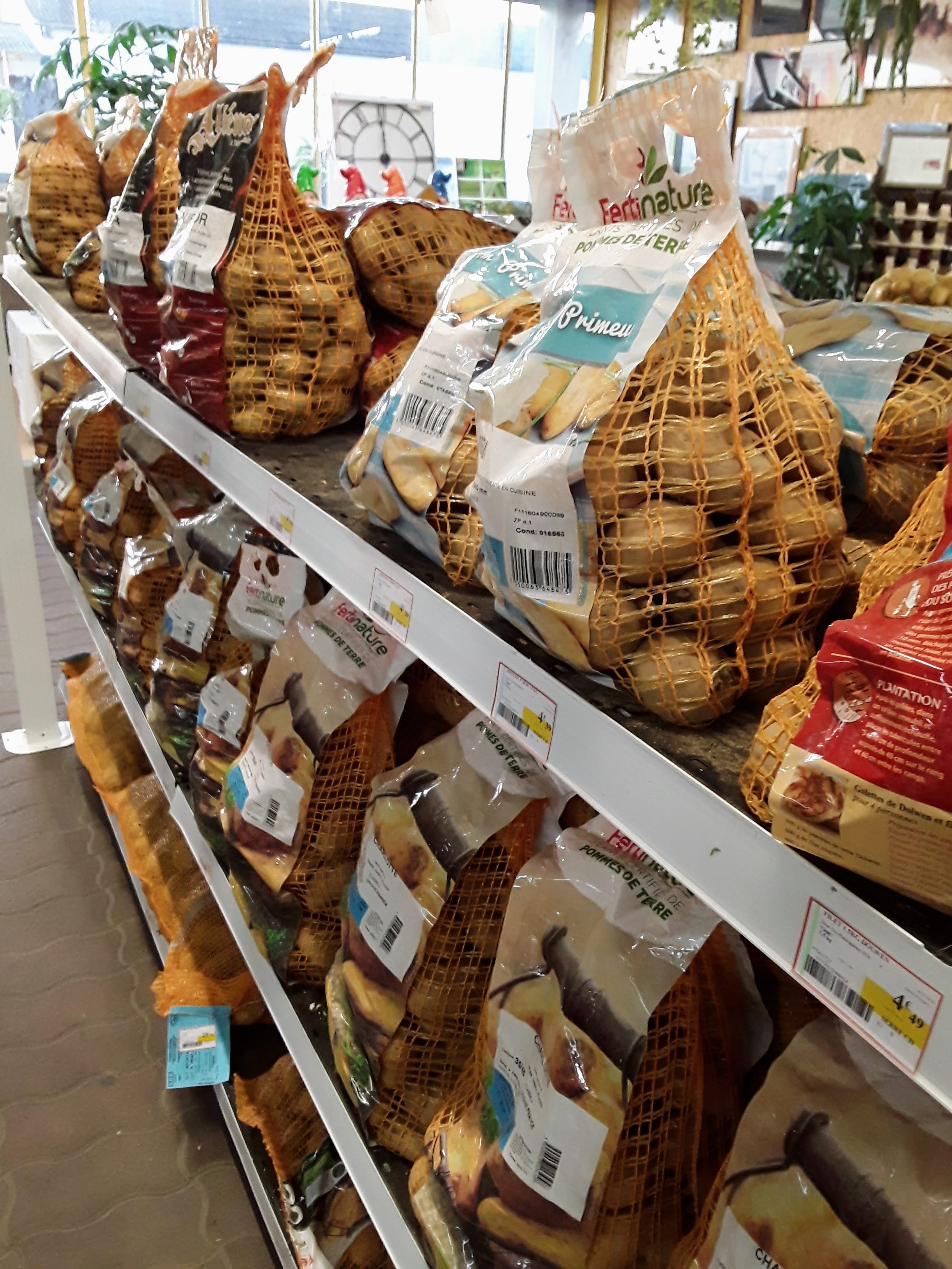 Miniature de la galerie