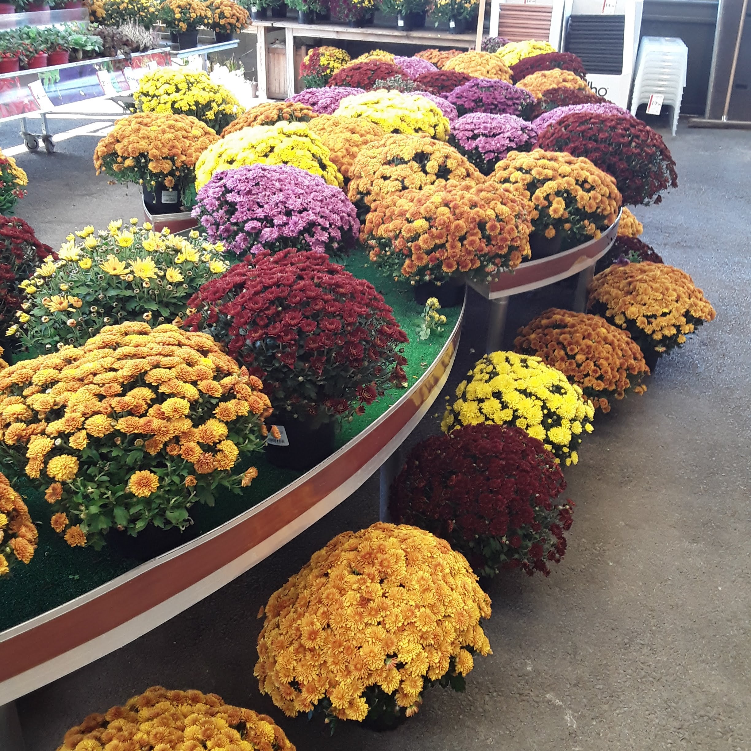 Miniature de la galerie