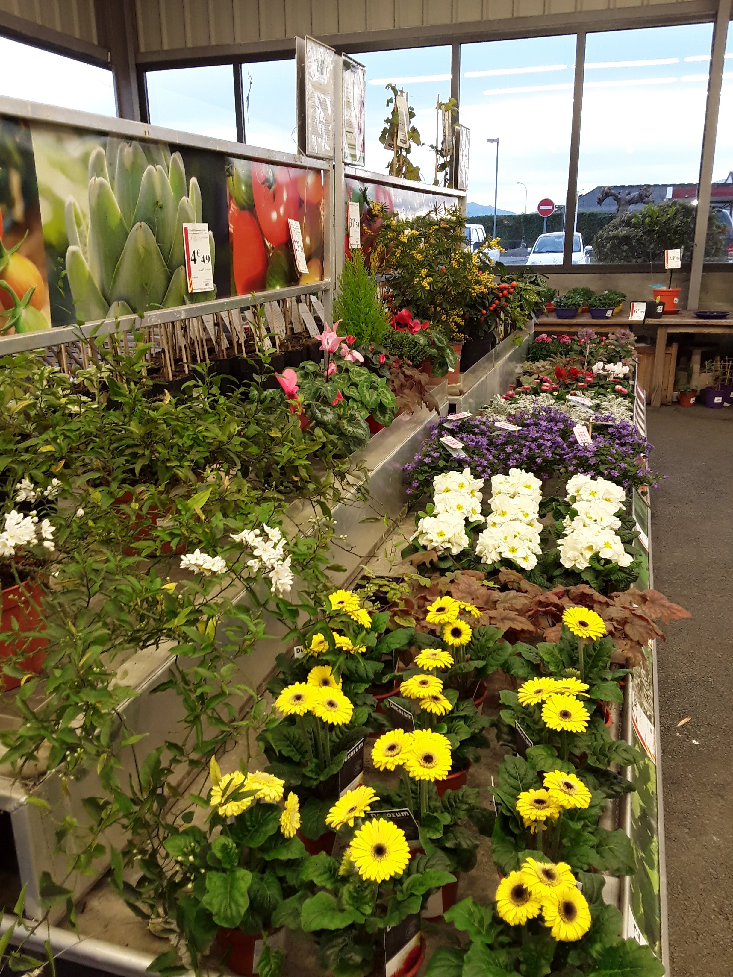 Miniature de la galerie