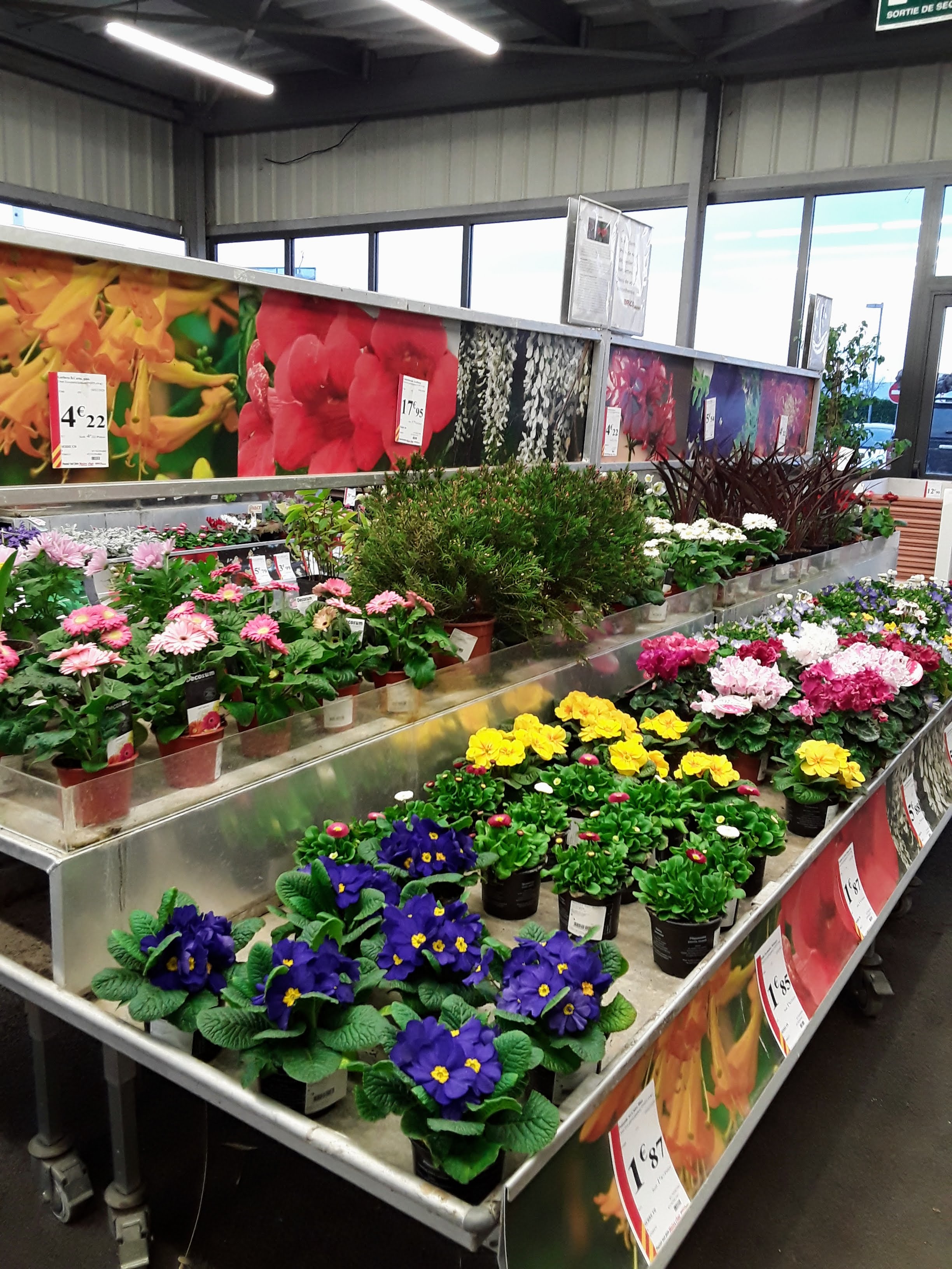 Miniature de la galerie