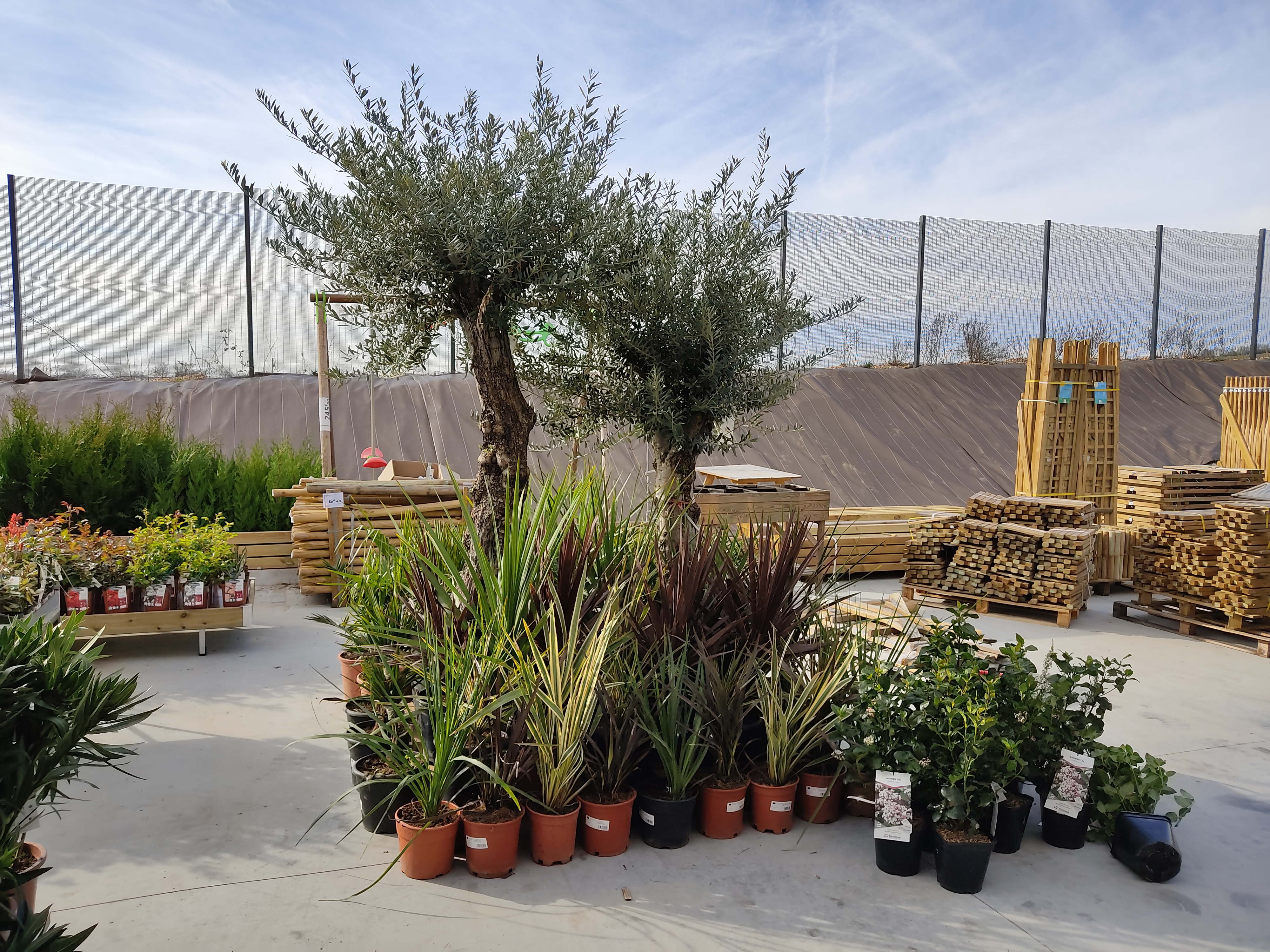 galerie image galerie image