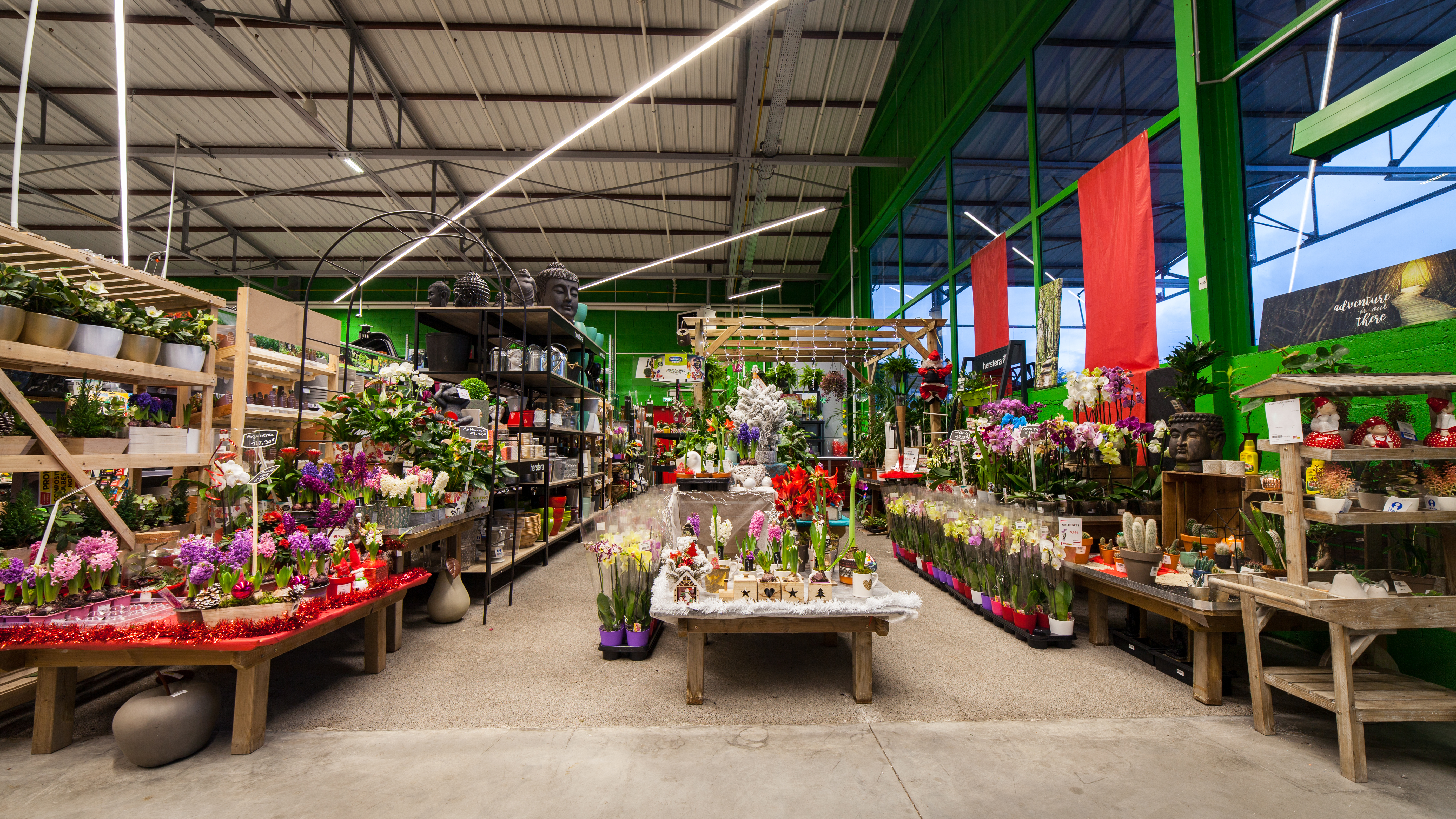 galerie image galerie image