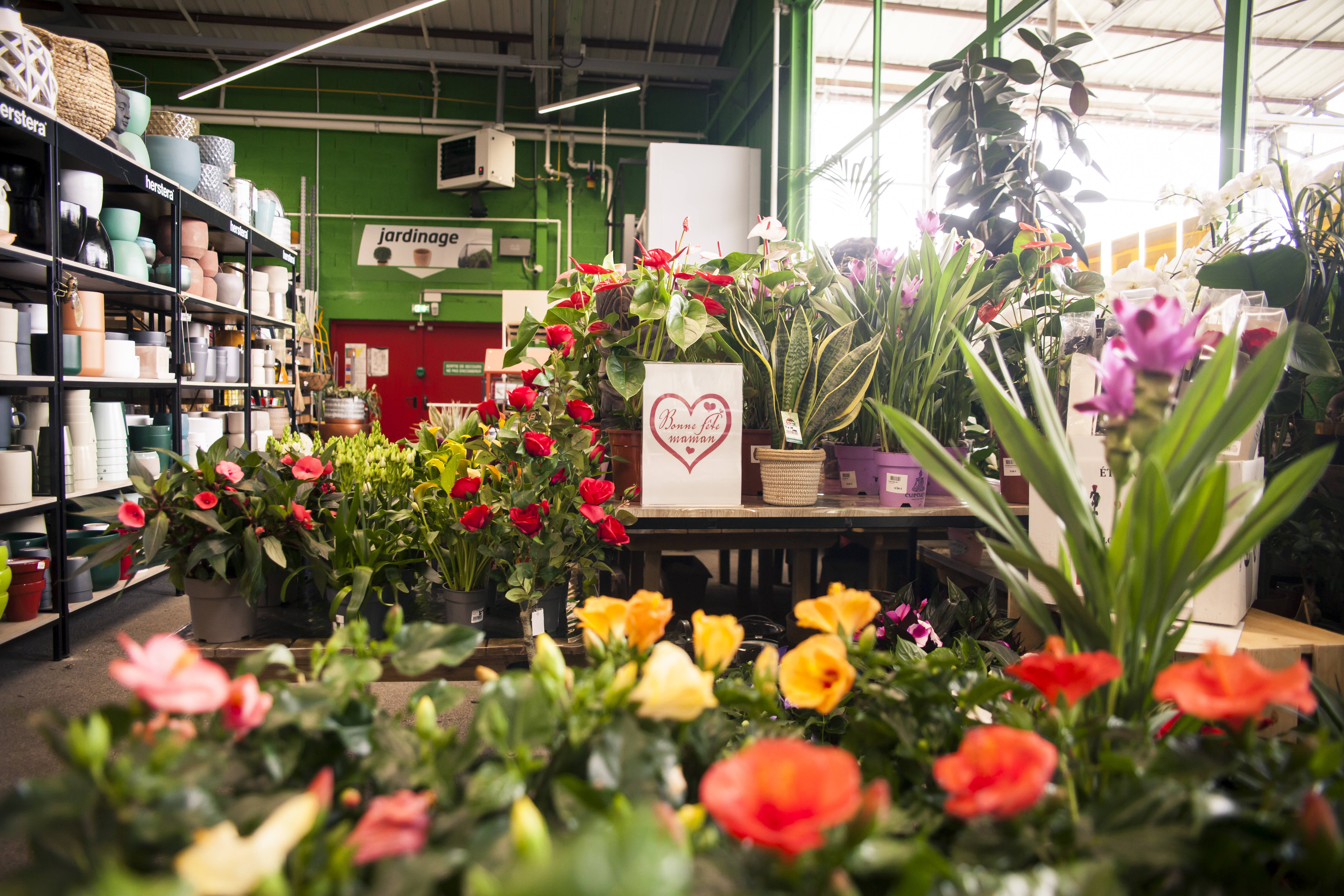 galerie image galerie image