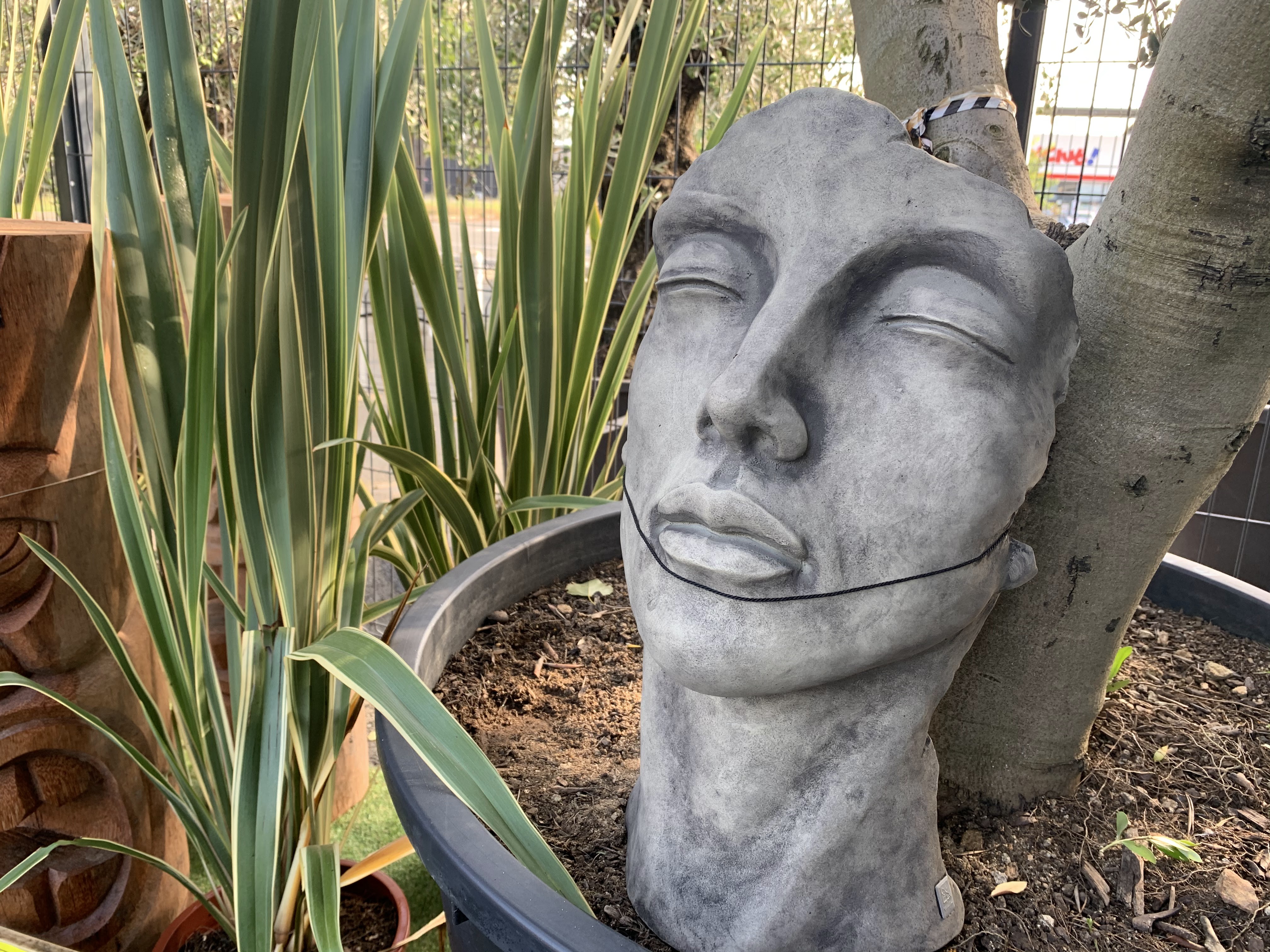 galerie image