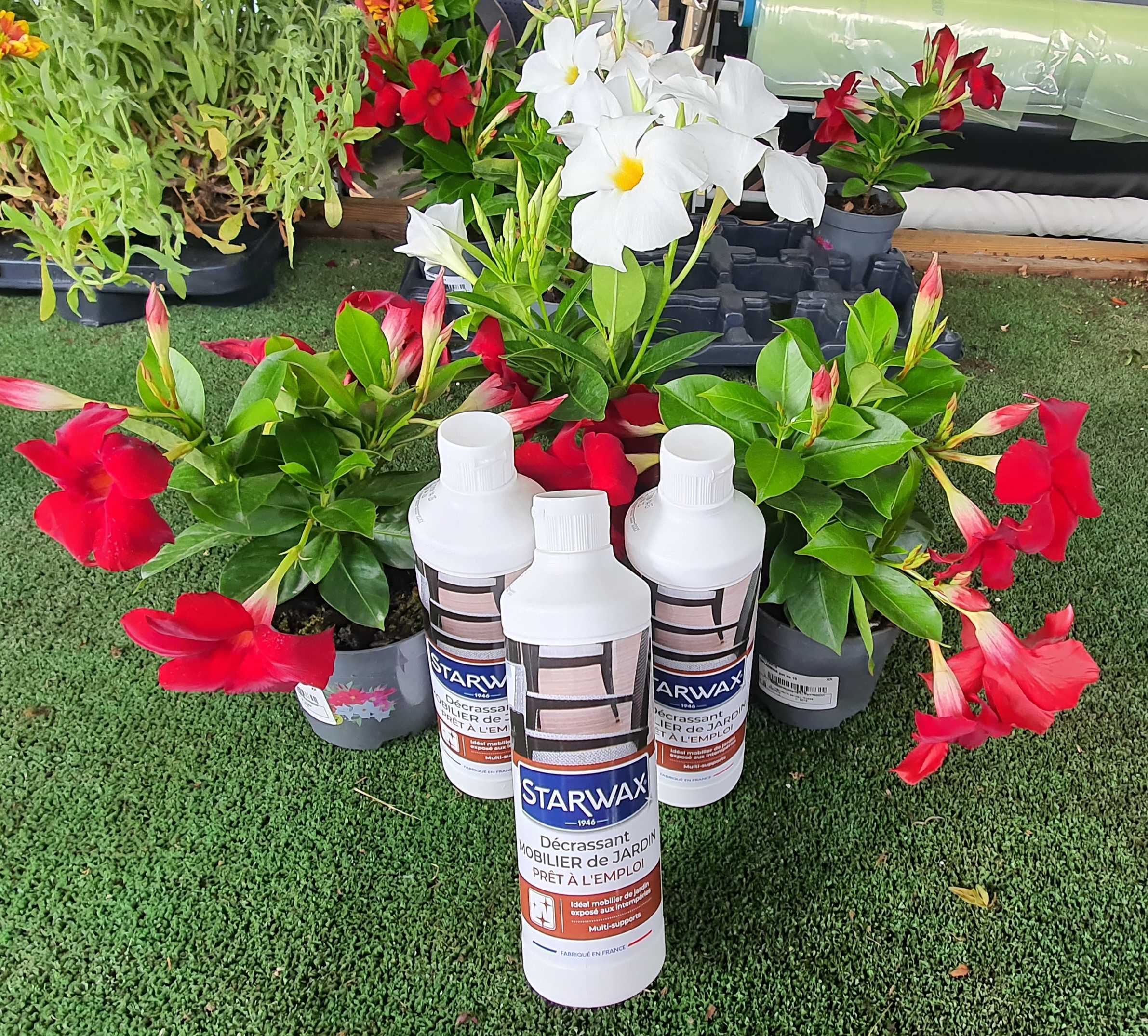 galerie image galerie image