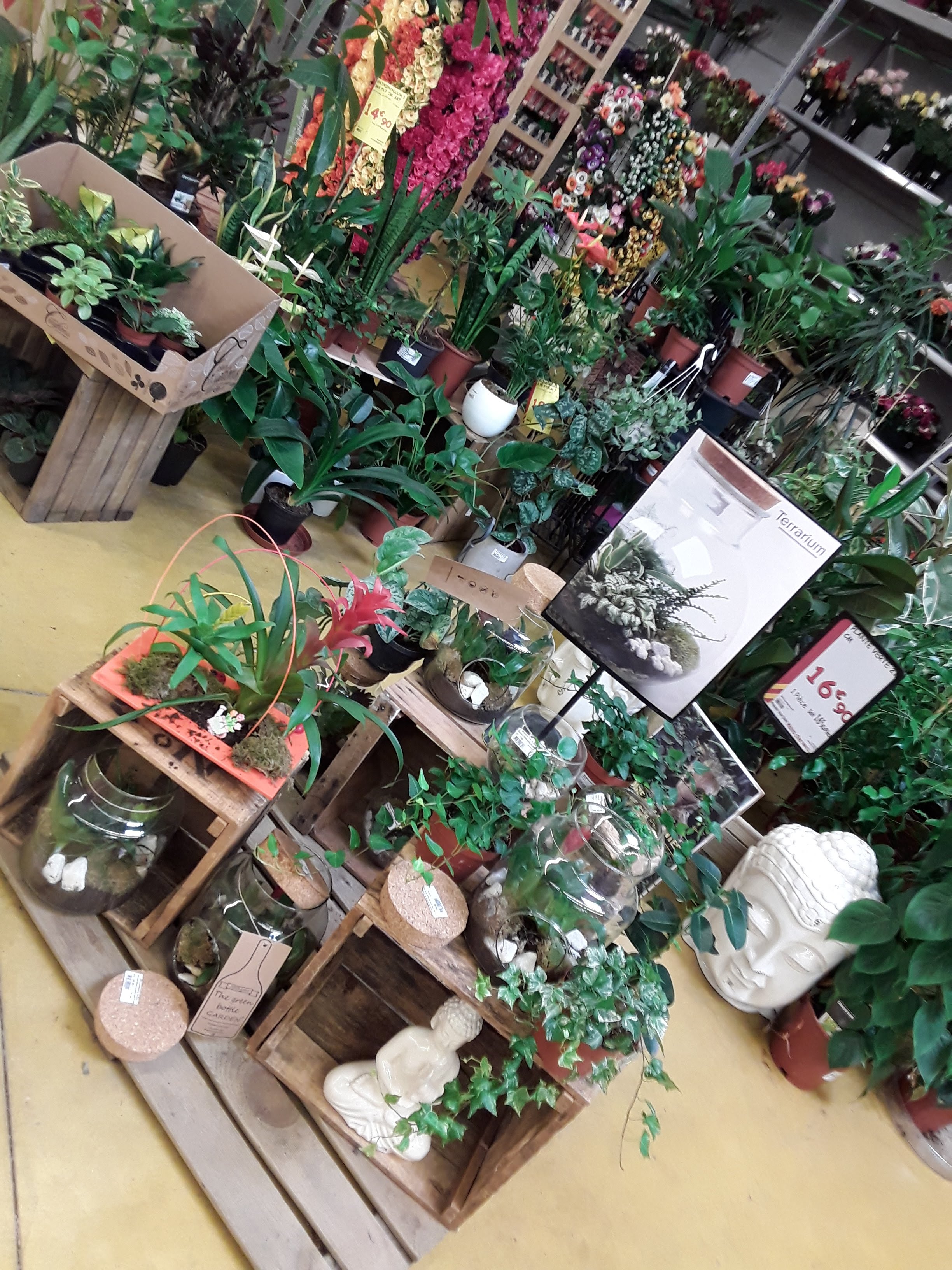 galerie image galerie image