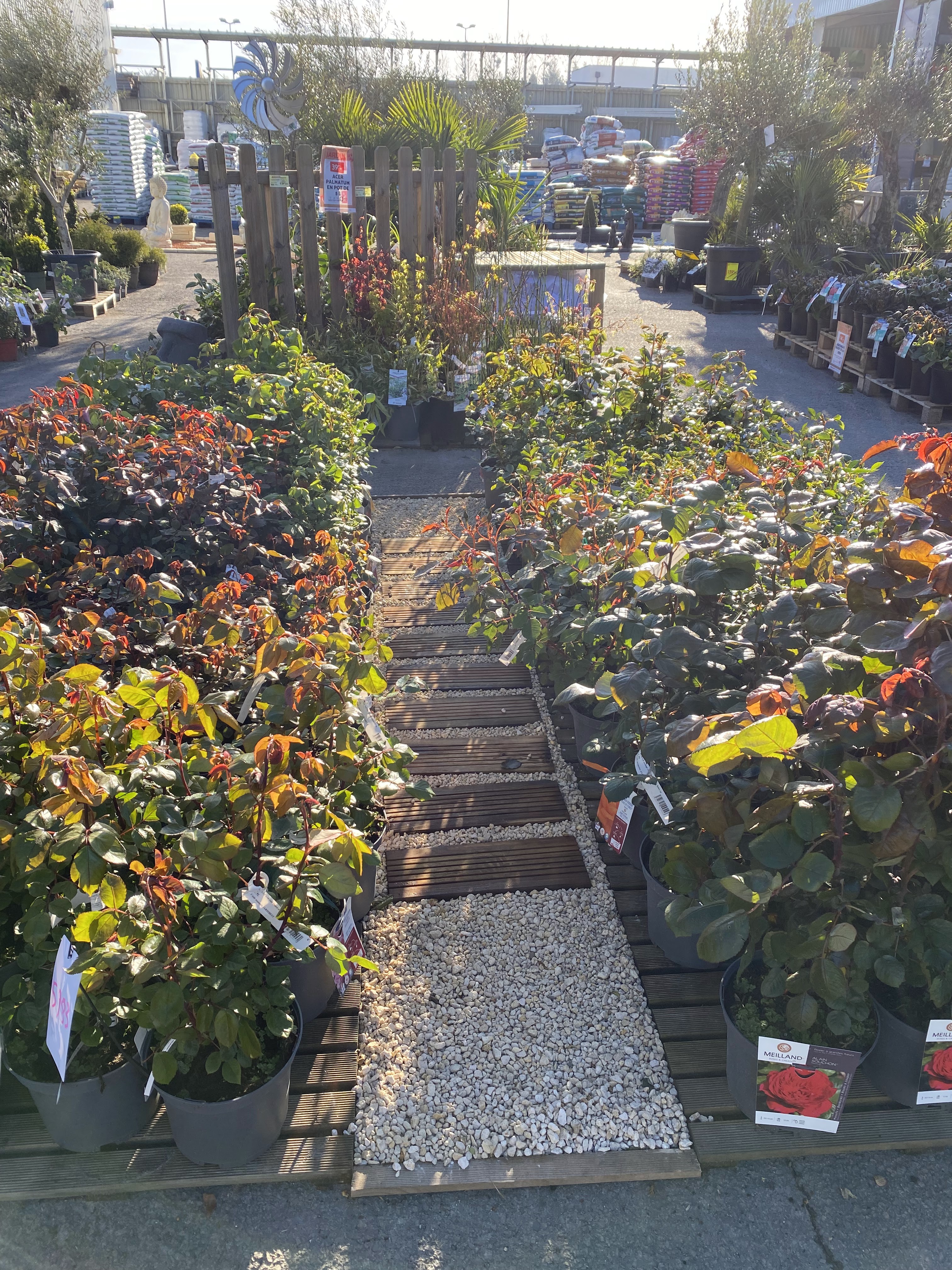 galerie image galerie image