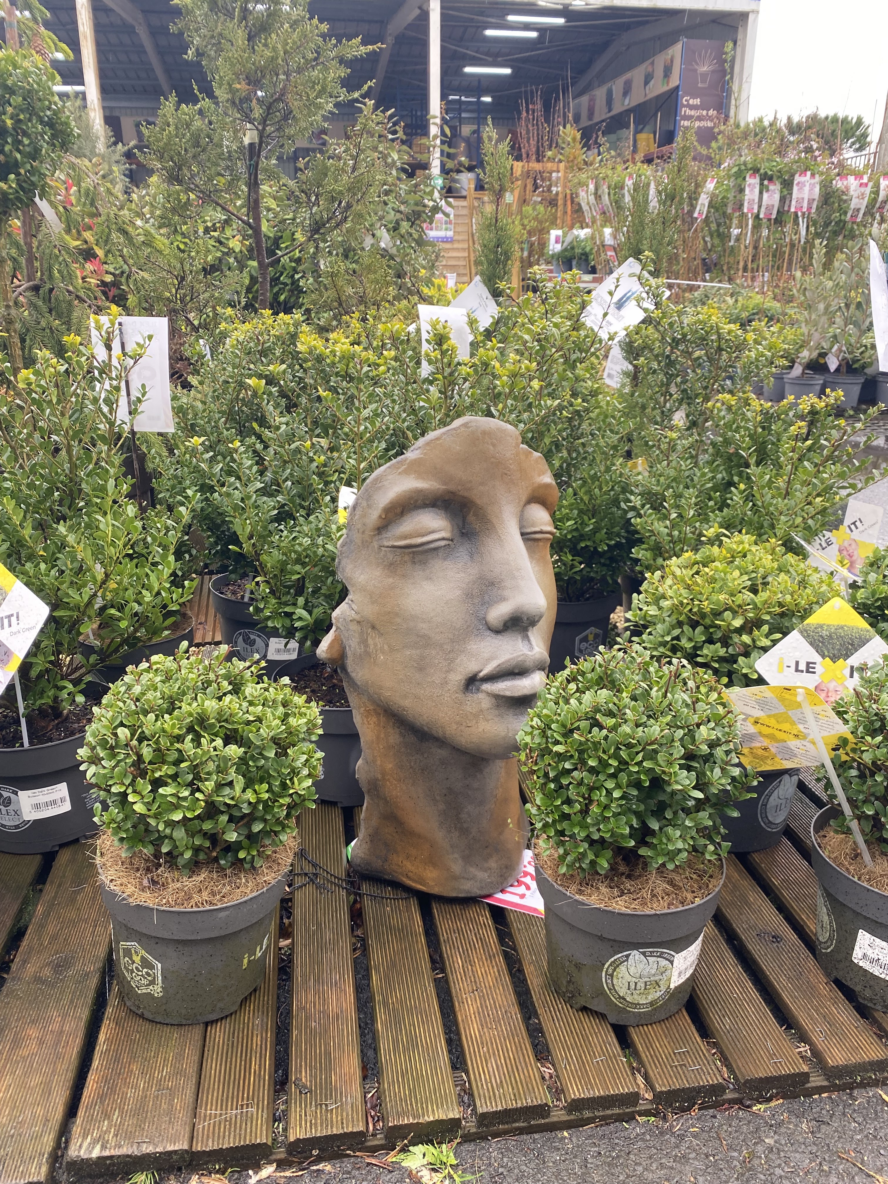 galerie image galerie image