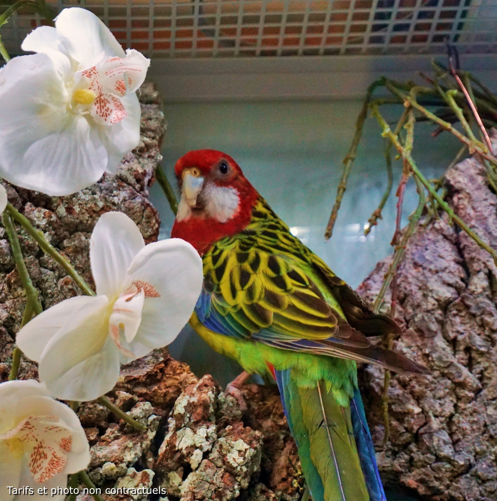 galerie image