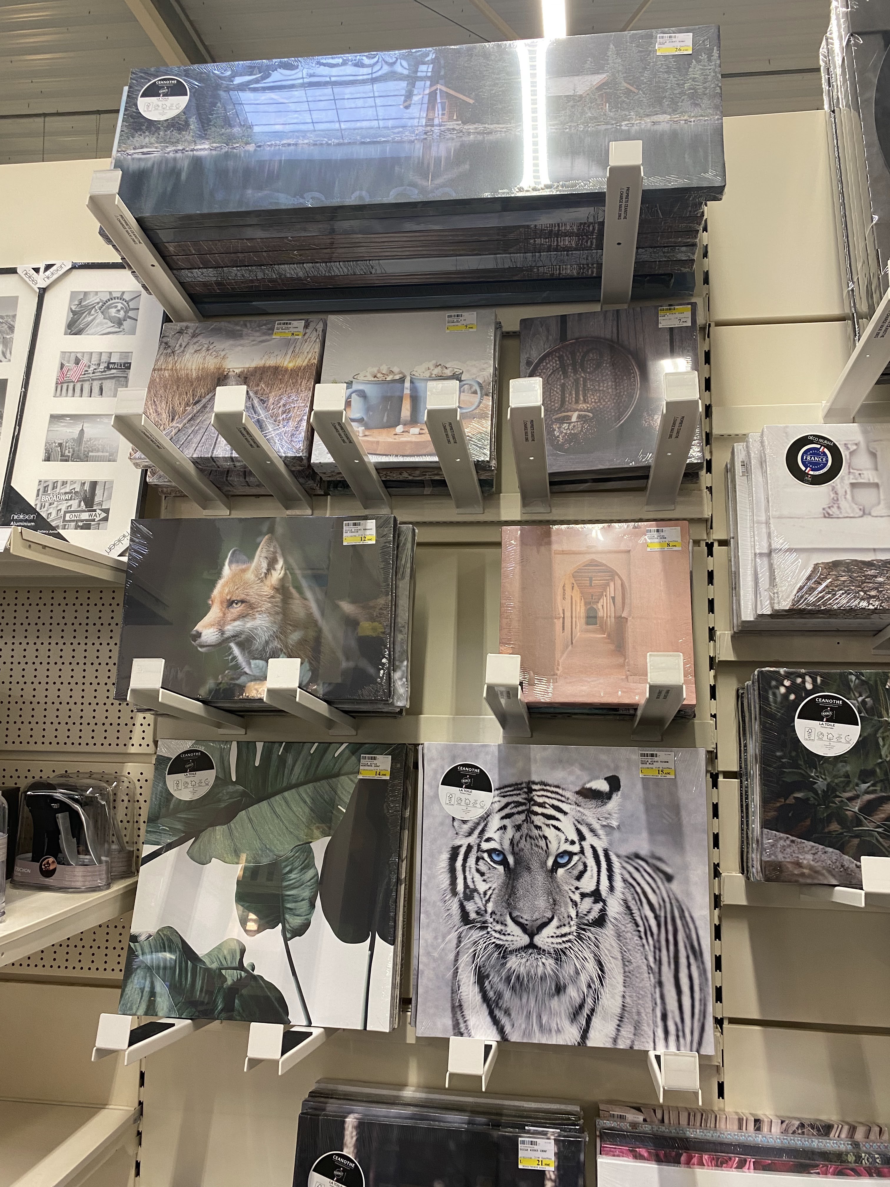 galerie image