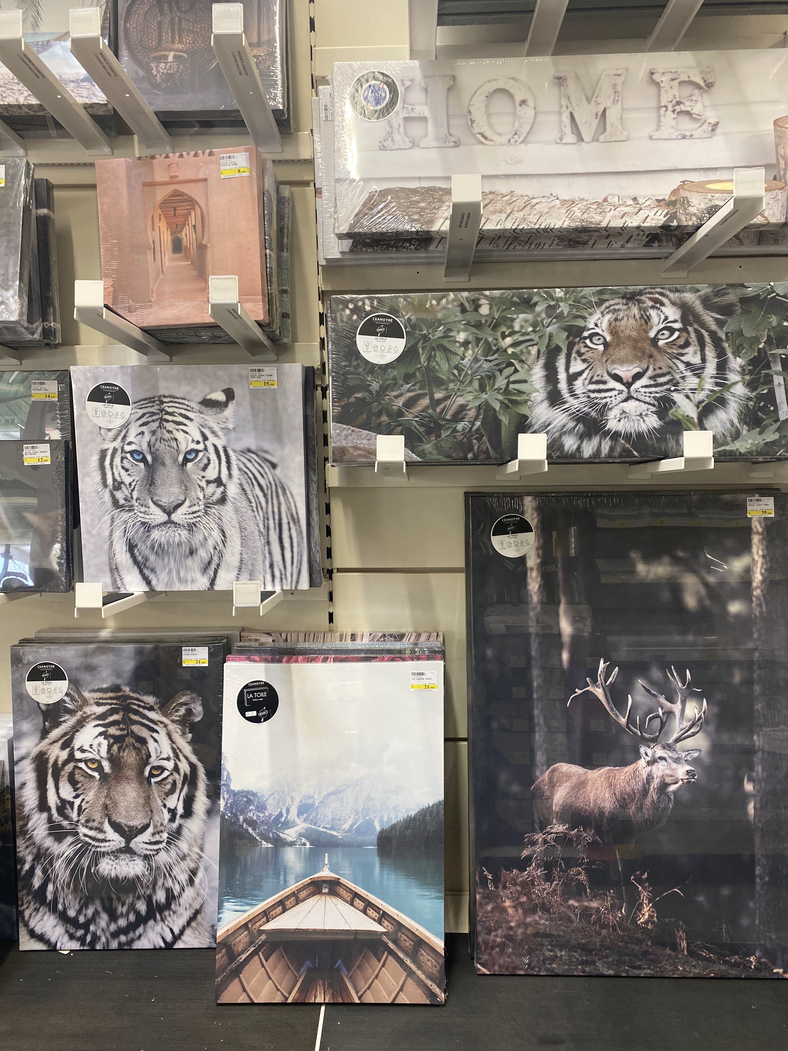 galerie image