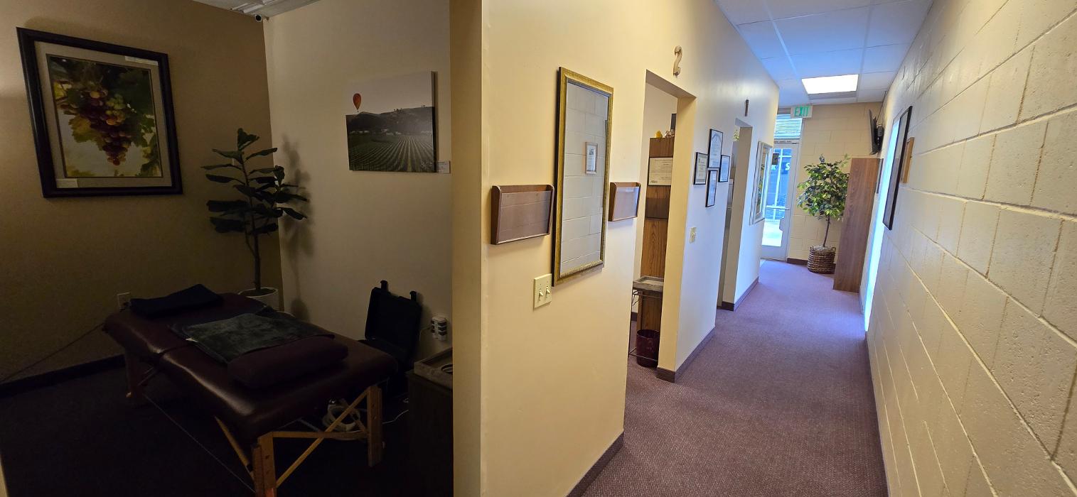 Swink Chiropractic Wellness - Goleta, CA