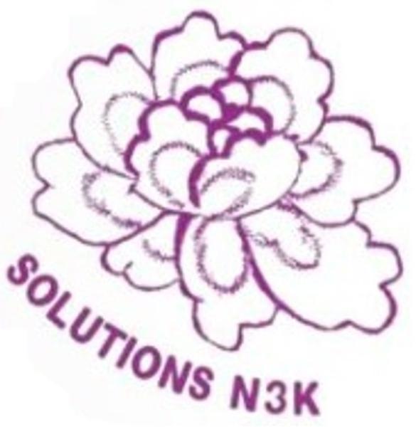 Solutions N3K Expert