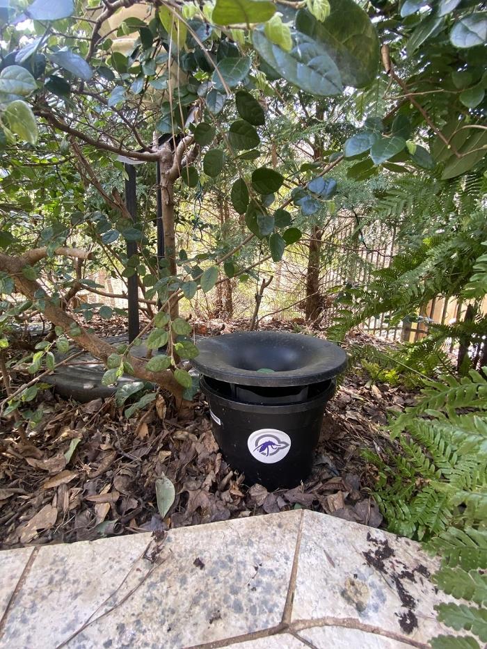 MissQuito of Helotes - Helotes, TX