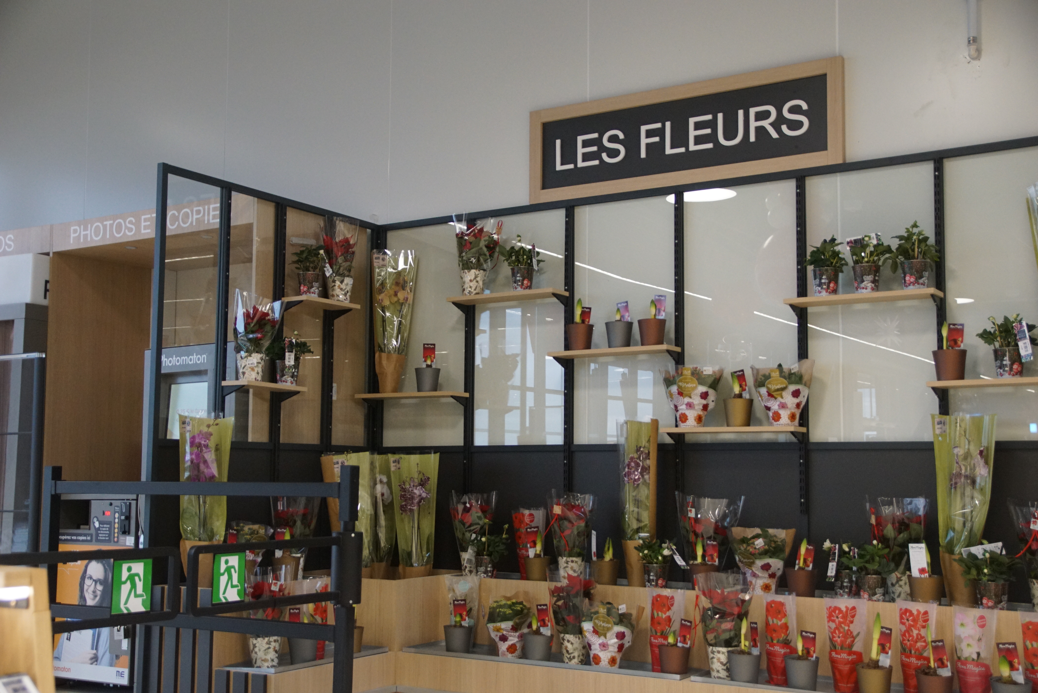 galerie image