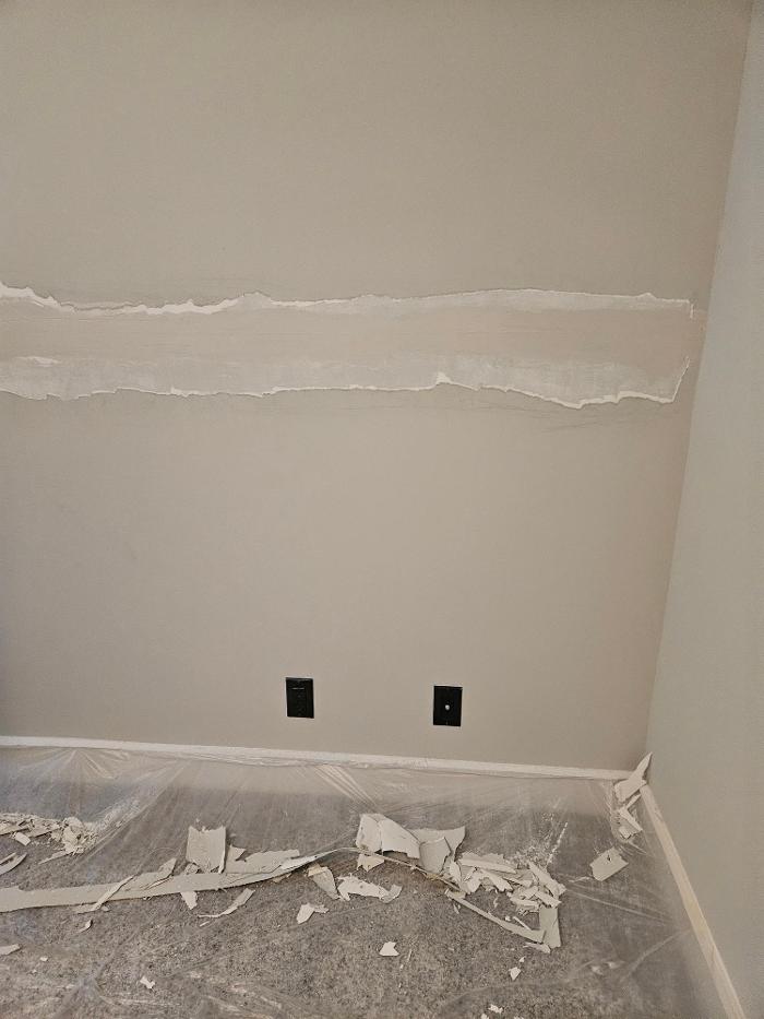 Sunset Professional Painting Image