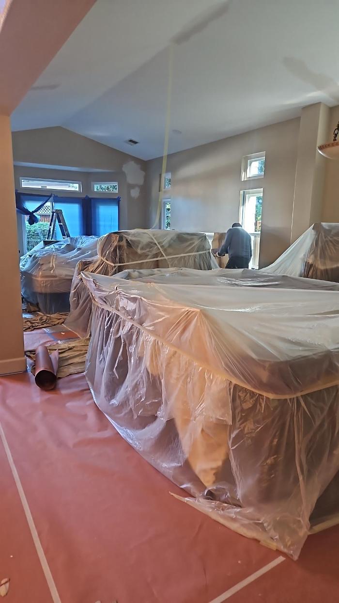 Sunset Professional Painting Image