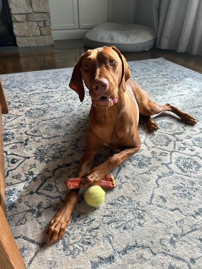 J&M Critter Care - Weldon, IL