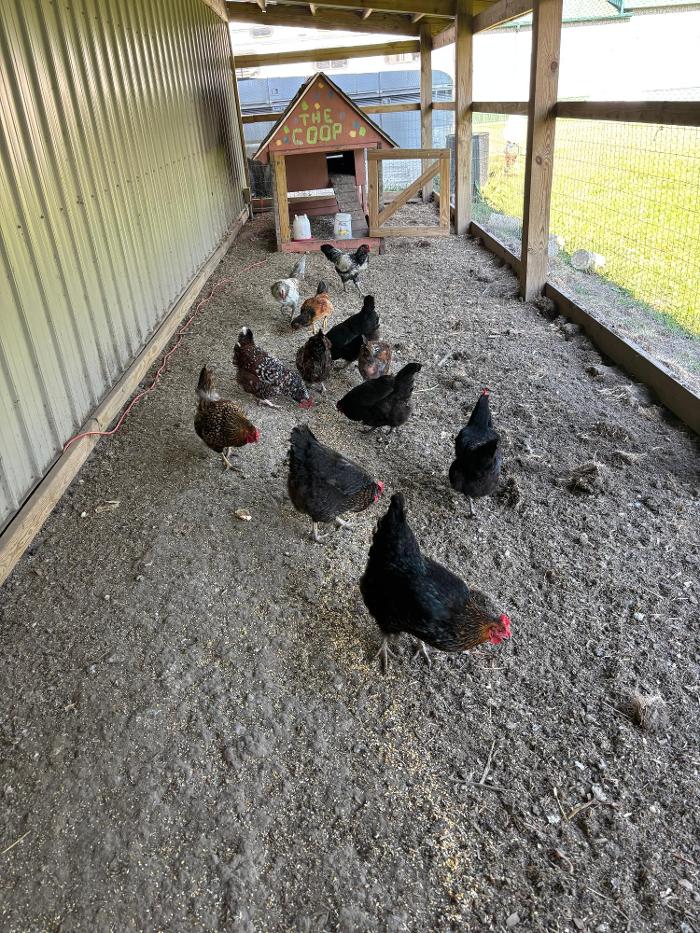 J&M Critter Care - Weldon, IL