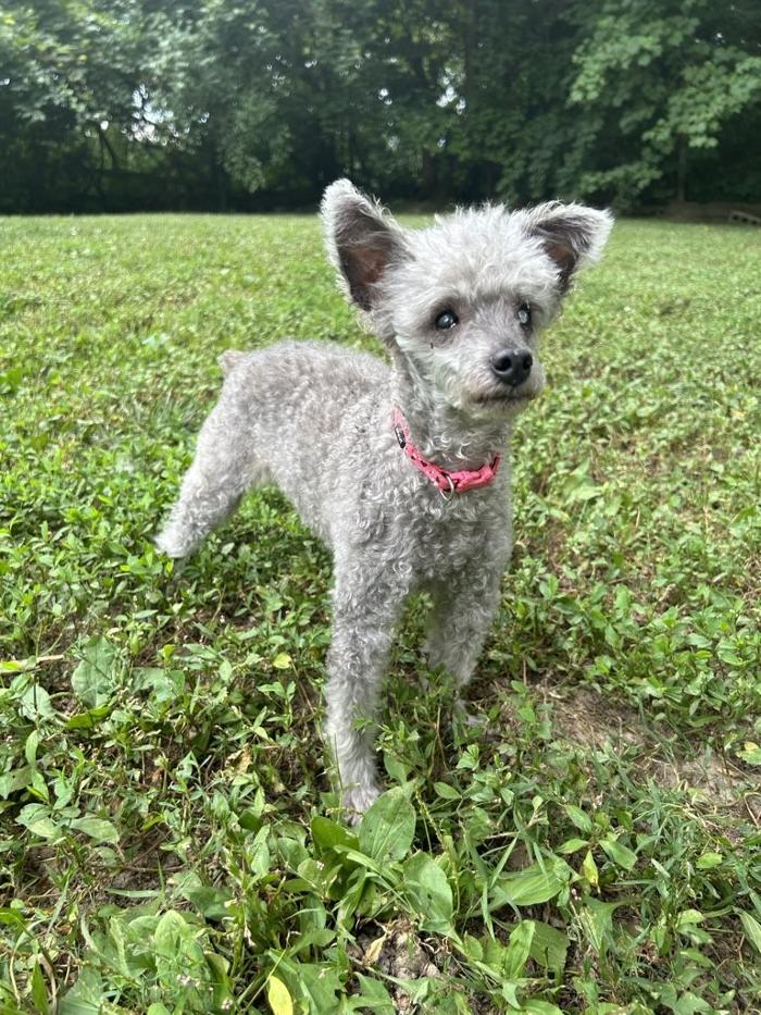 J&M Critter Care - Weldon, IL