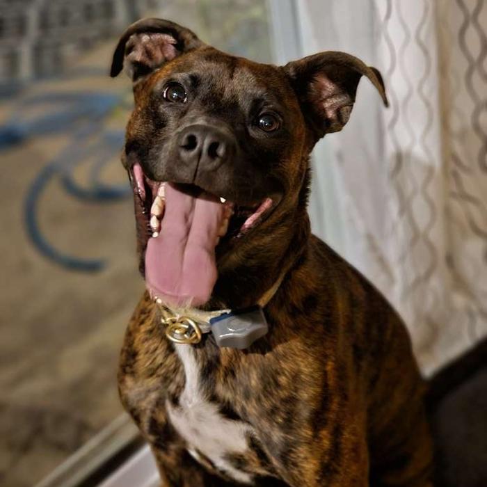 J&M Critter Care - Weldon, IL