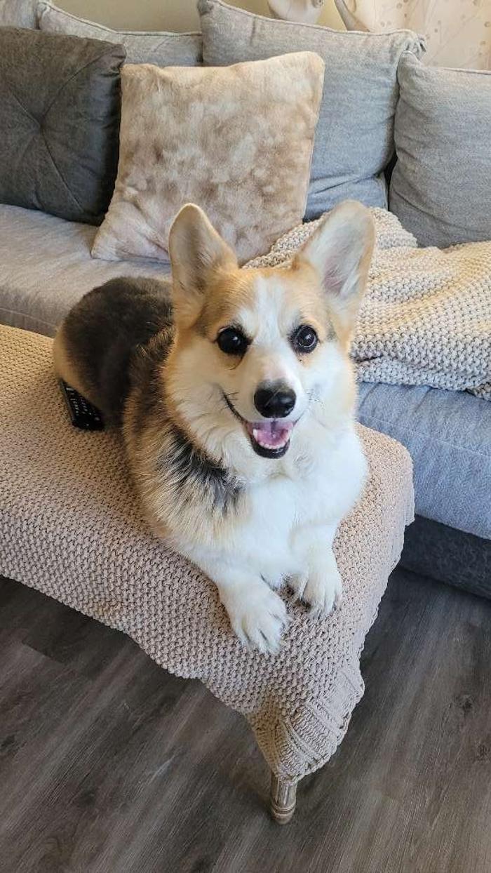 J&M Critter Care - Weldon, IL