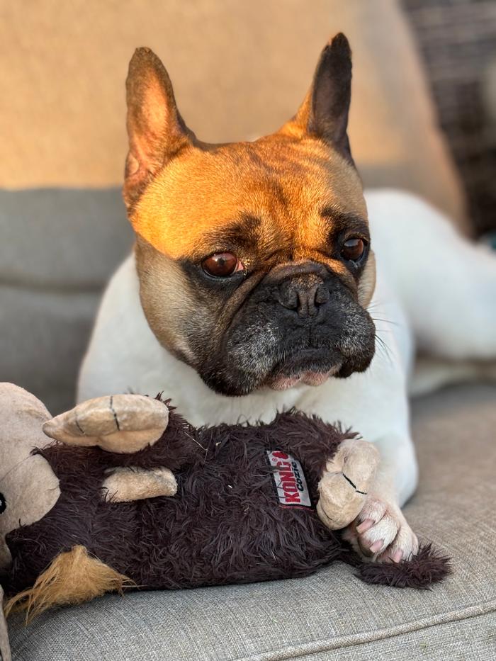 J&M Critter Care - Weldon, IL